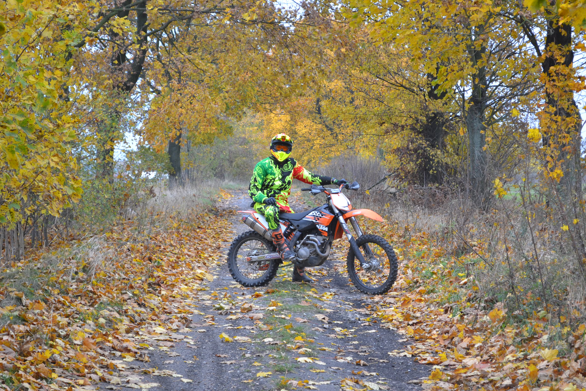 2010 KTM 250 SXF | Picture 2762561 motorcycle photo