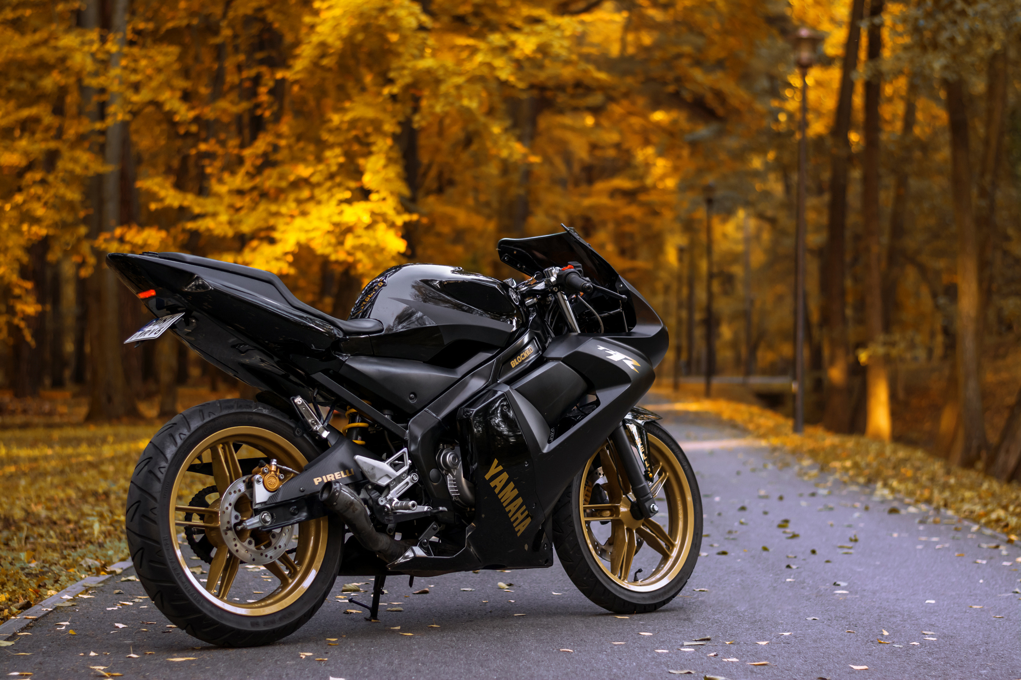 2011 YAMAHA TZR 50 | Picture 2762847 motorcycle photo