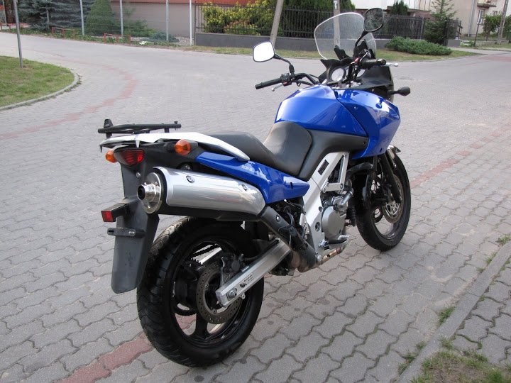 2004 SUZUKI DL 650 | Picture 2763358 motorcycle photo