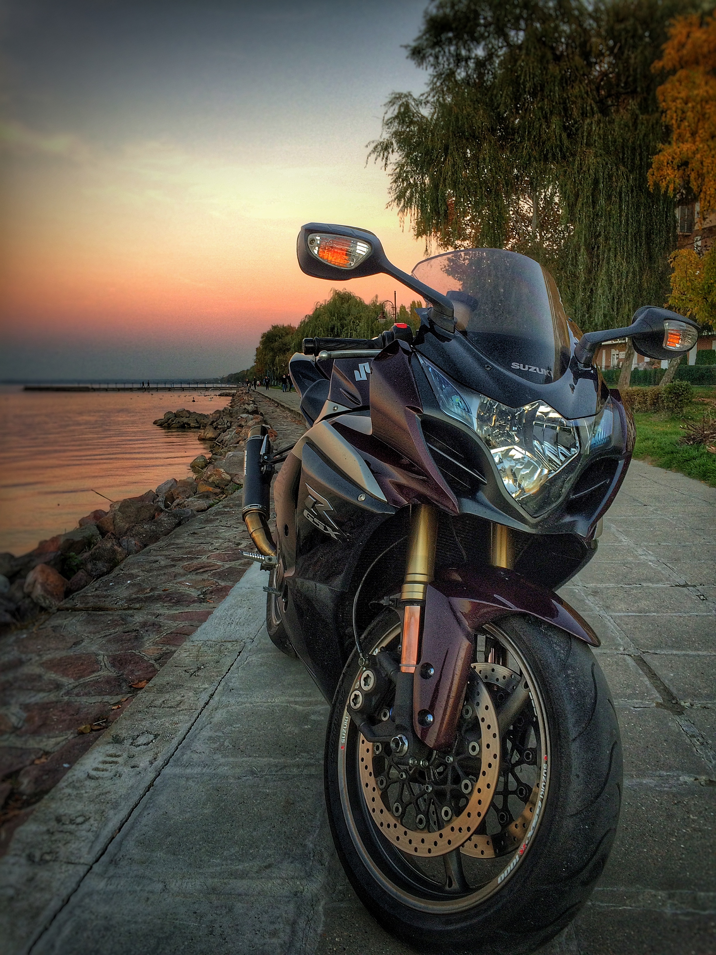 2009 SUZUKI GSX R 1000 | Picture 2763399 motorcycle photo
