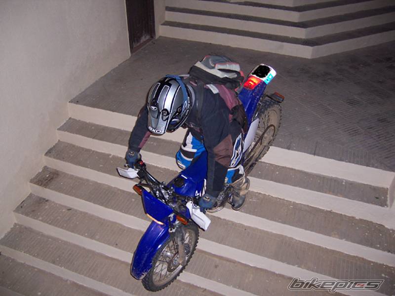 2003 YAMAHA TTR 250 | Picture 276348 motorcycle photo
