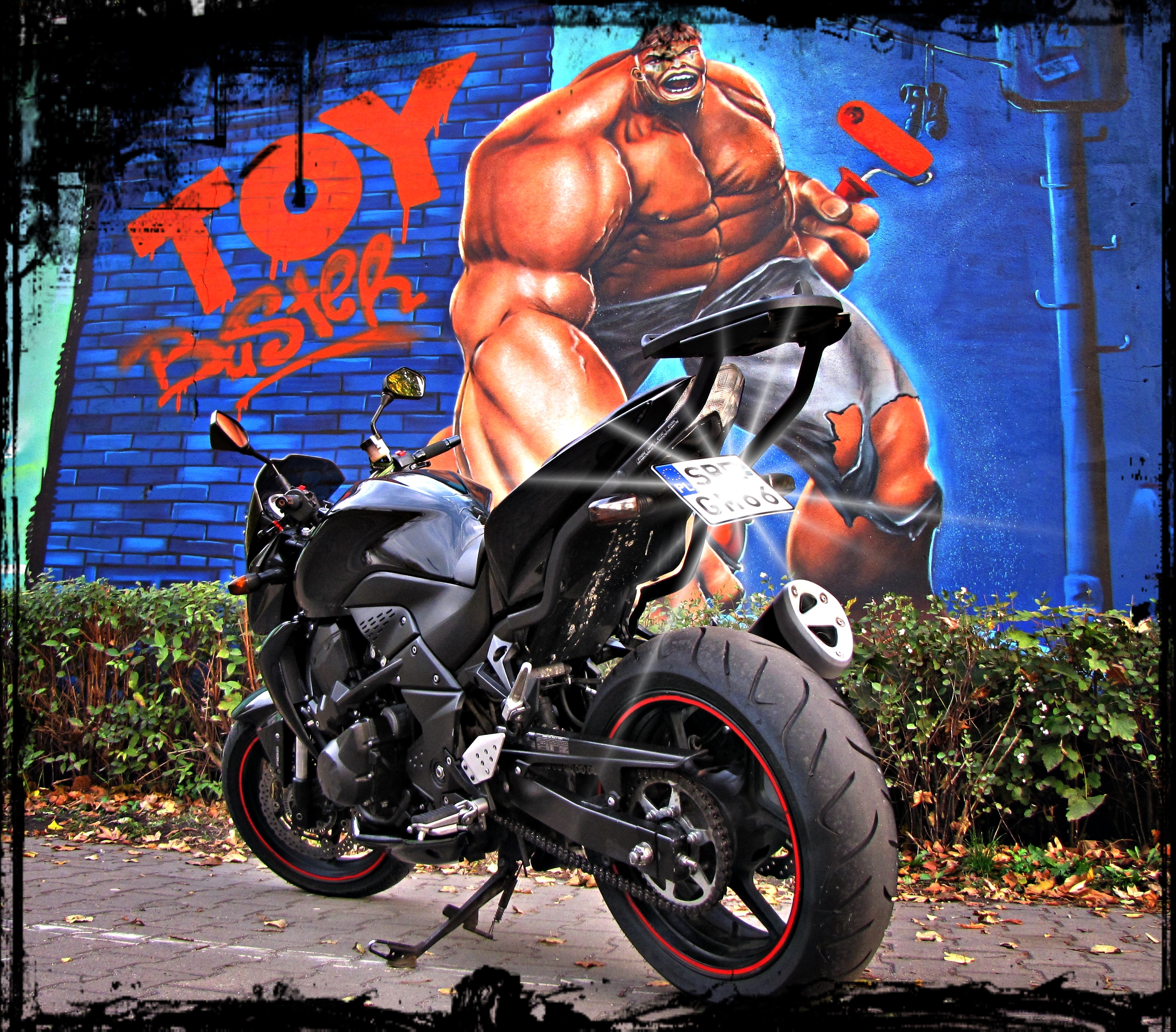 2008 KAWASAKI Z 750 | Picture 2763815 motorcycle photo