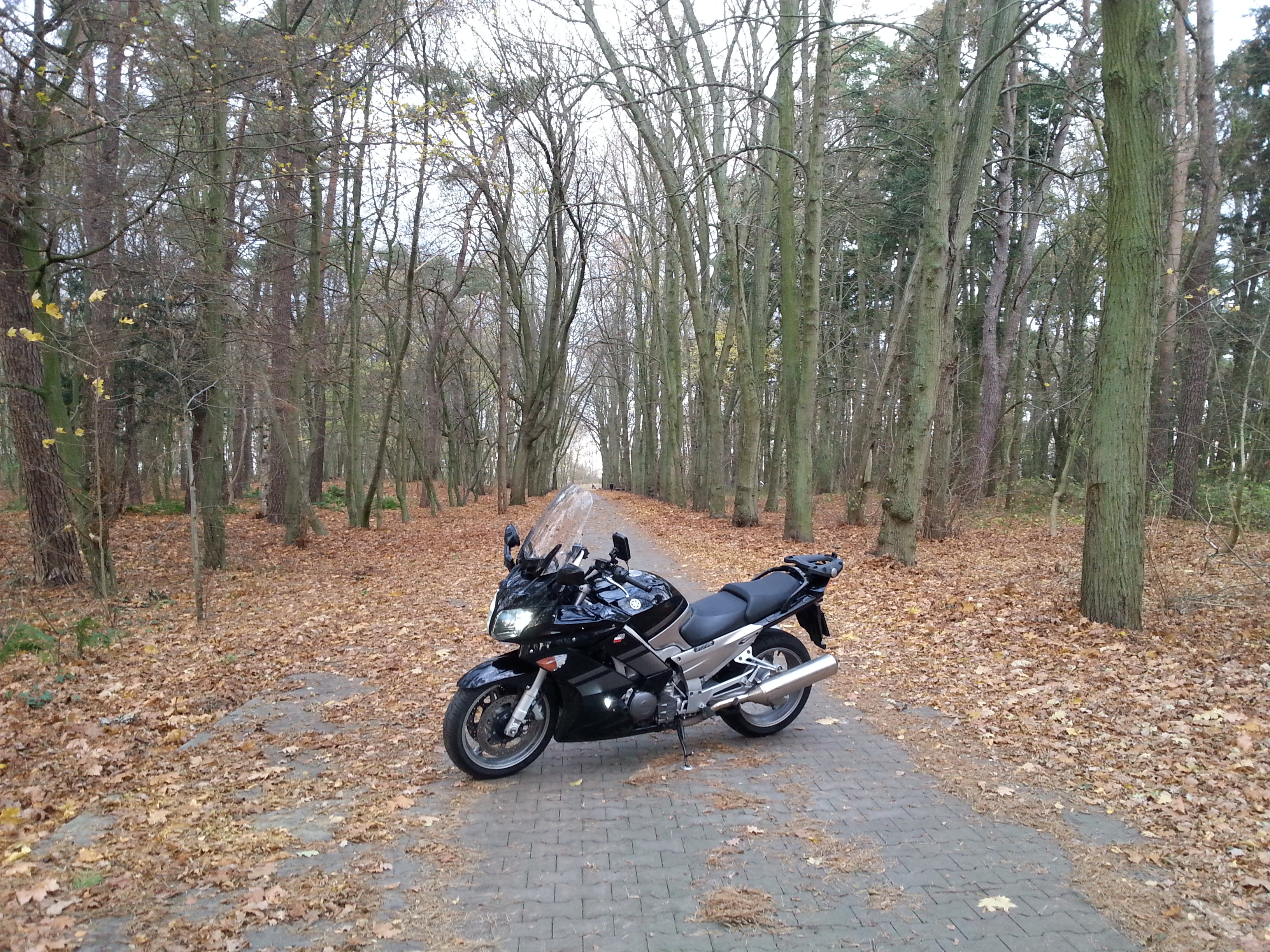 2008 YAMAHA FJR 1300 | Picture 2764852 motorcycle photo