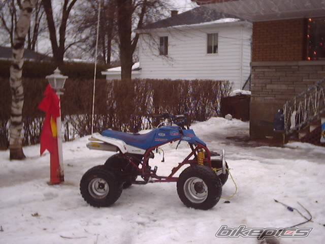 1988 YAMAHA BLASTER | Picture 276499 motorcycle photo