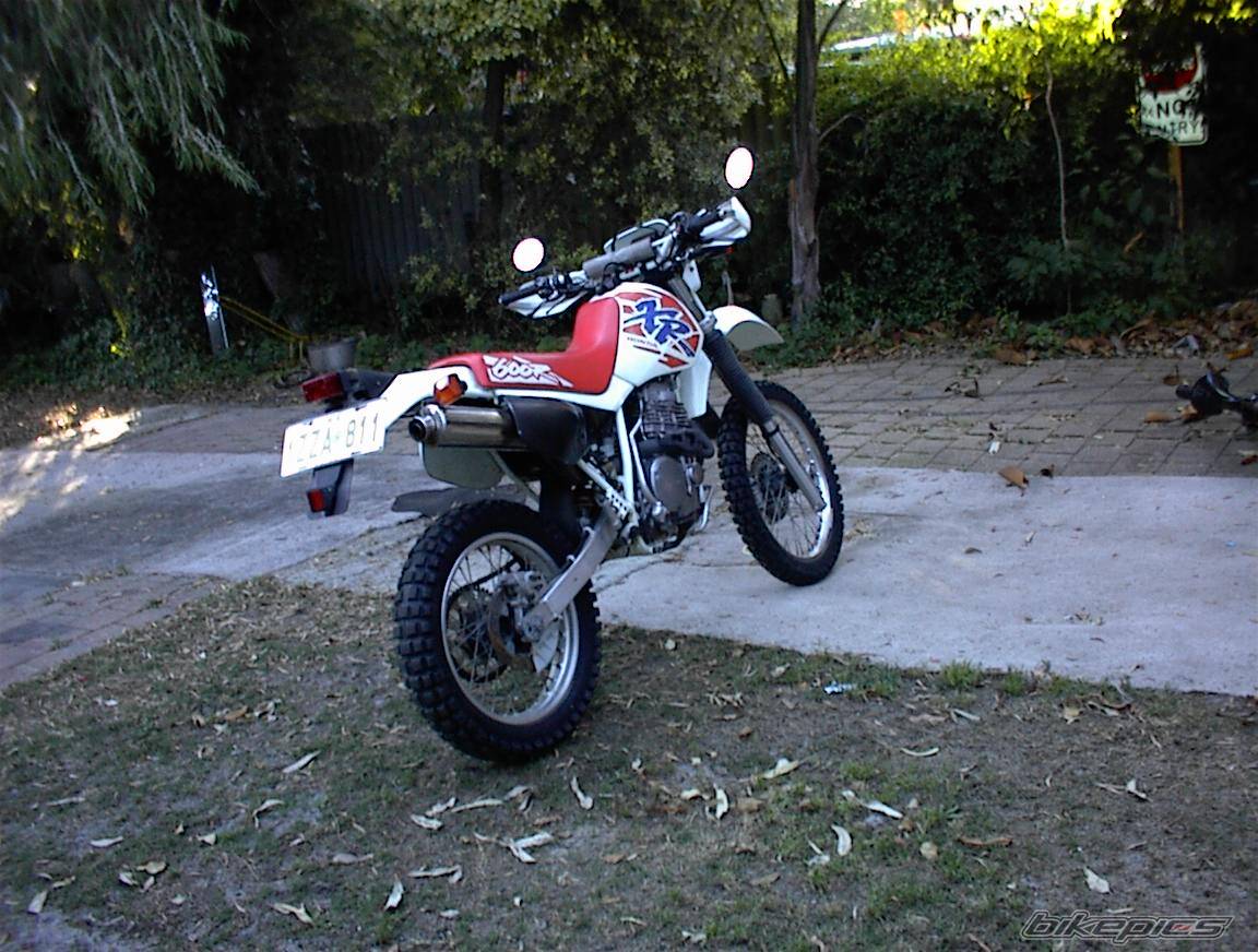 1992 HONDA XR 600 | Picture 2766 motorcycle photo