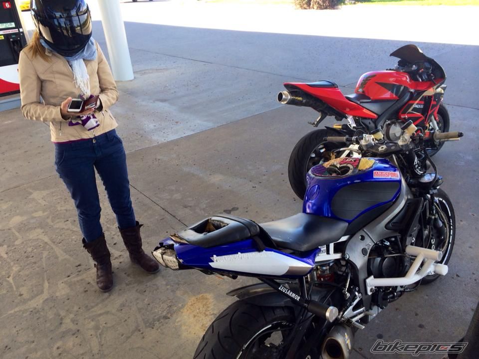 2003 HONDA CBR 600 RR | Picture 2766065 motorcycle photo