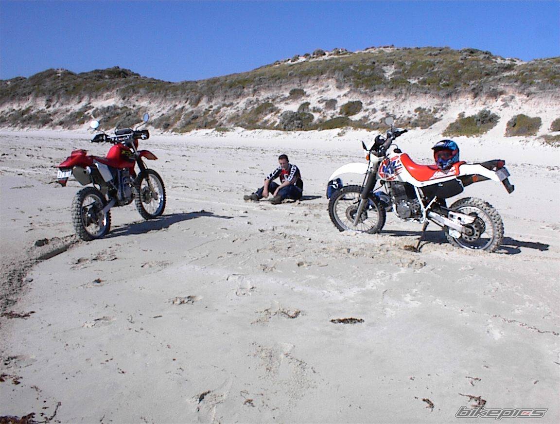 1992 HONDA XR 600 | Picture 2767 motorcycle photo