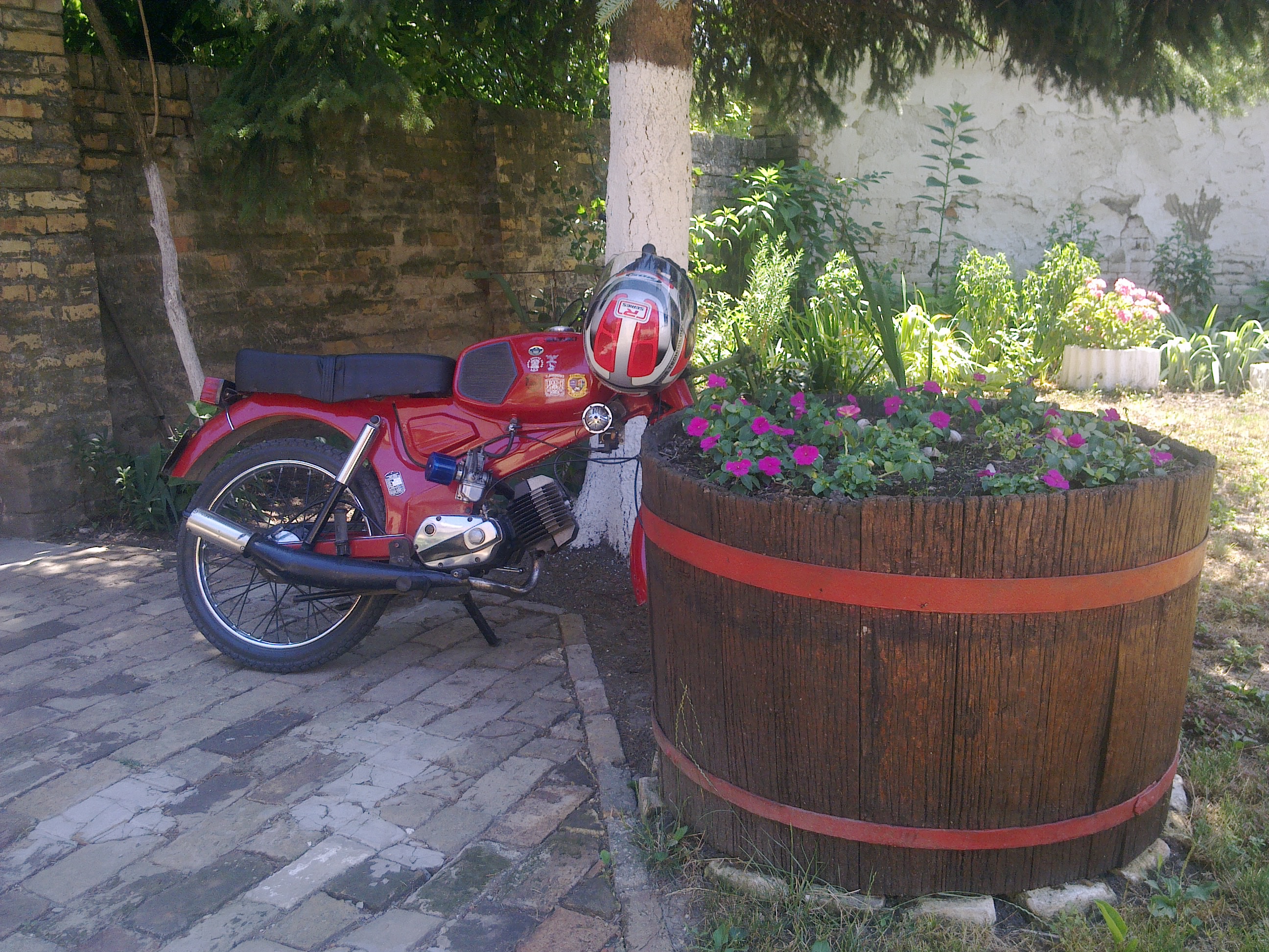 1977 TOMOS APN 4 | Picture 2767436 motorcycle photo