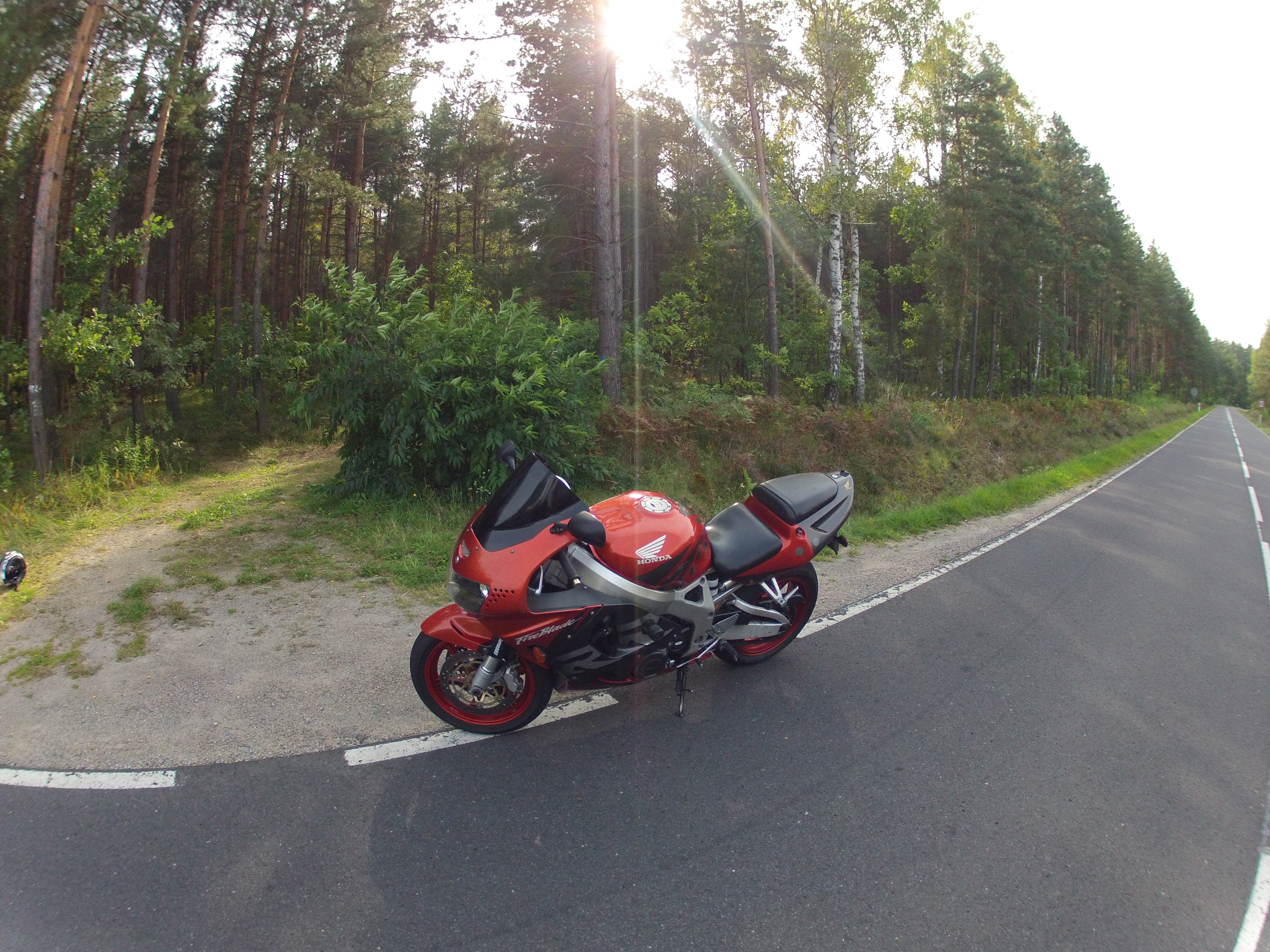 1998 HONDA CBR 900RR FIREBLADE | Picture 2767466 motorcycle photo