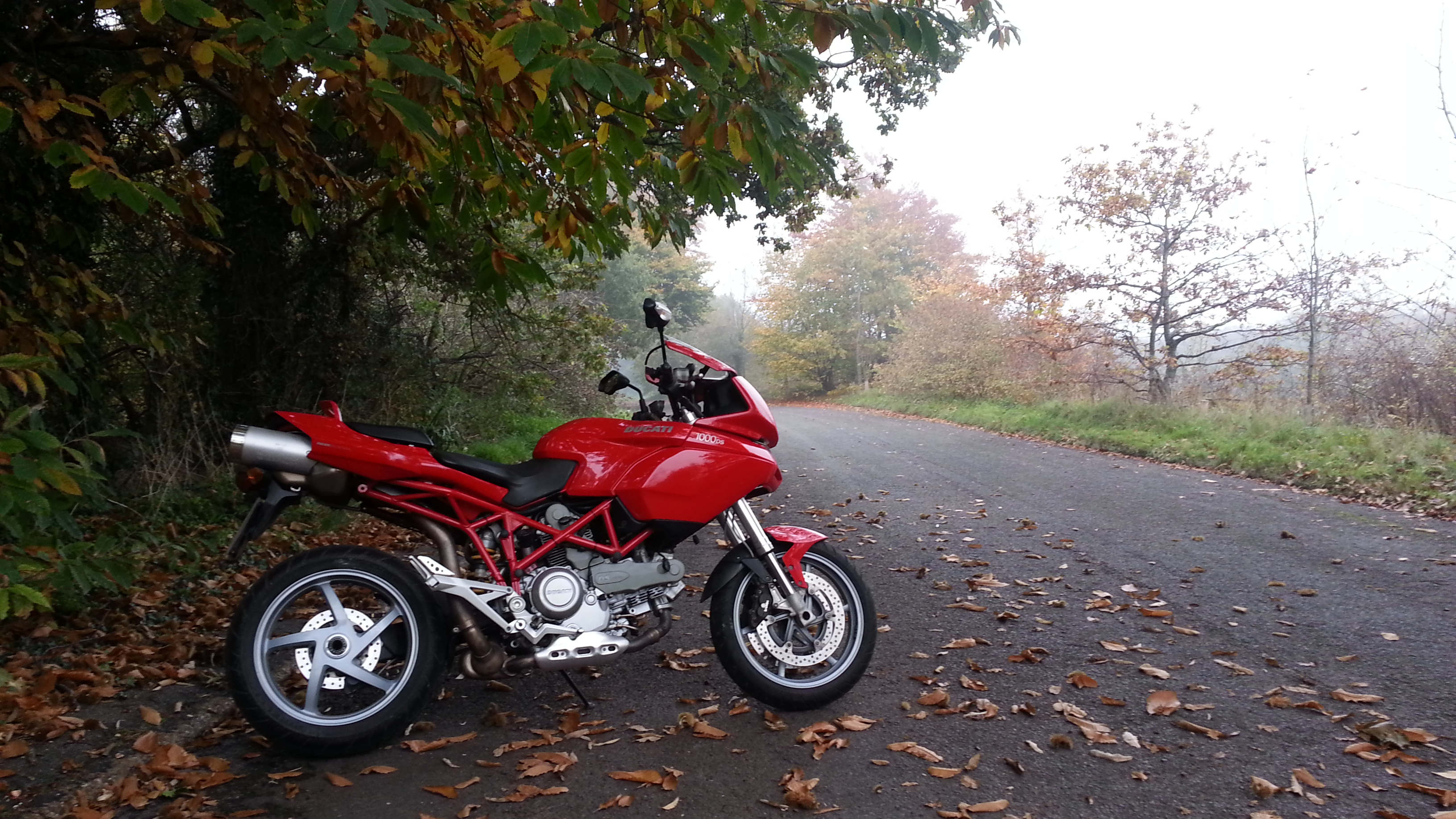 2003 DUCATI MULTISTRADA 1000S DS | Picture 2768120 motorcycle photo