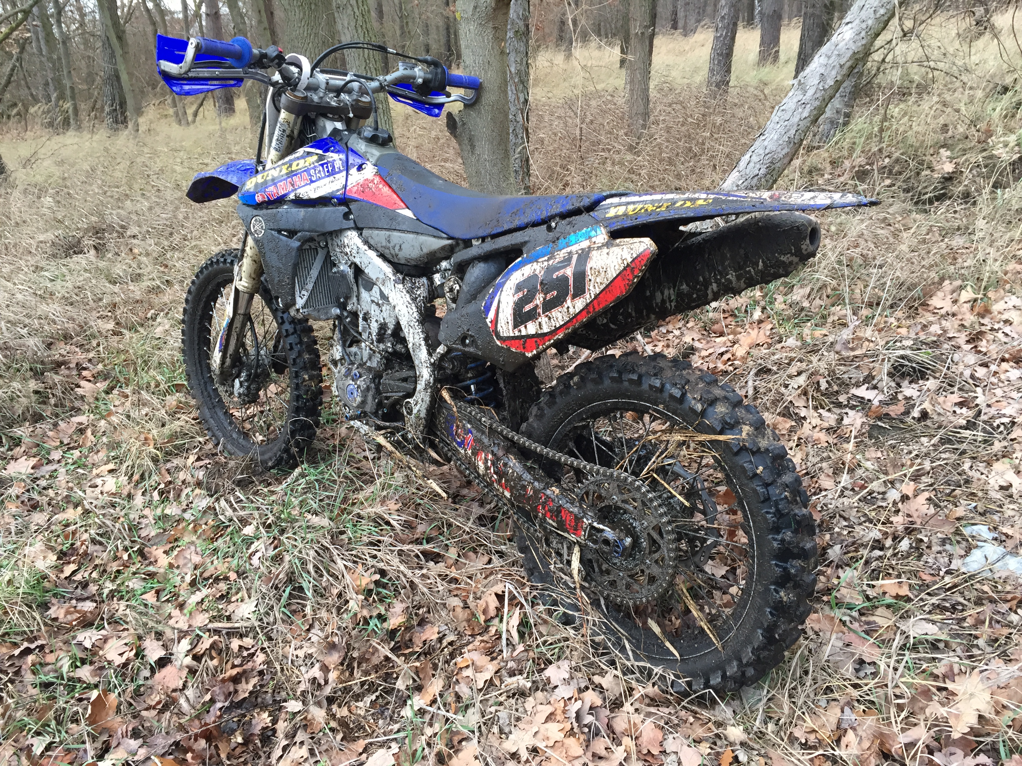 2010 YAMAHA YZ 450F | Picture 2768244 motorcycle photo