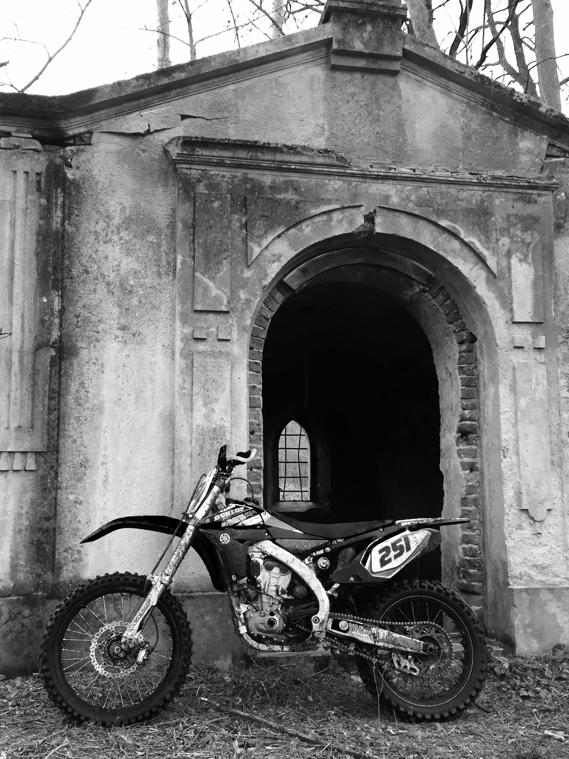 2010 YAMAHA YZ 450F | Picture 2768252 motorcycle photo
