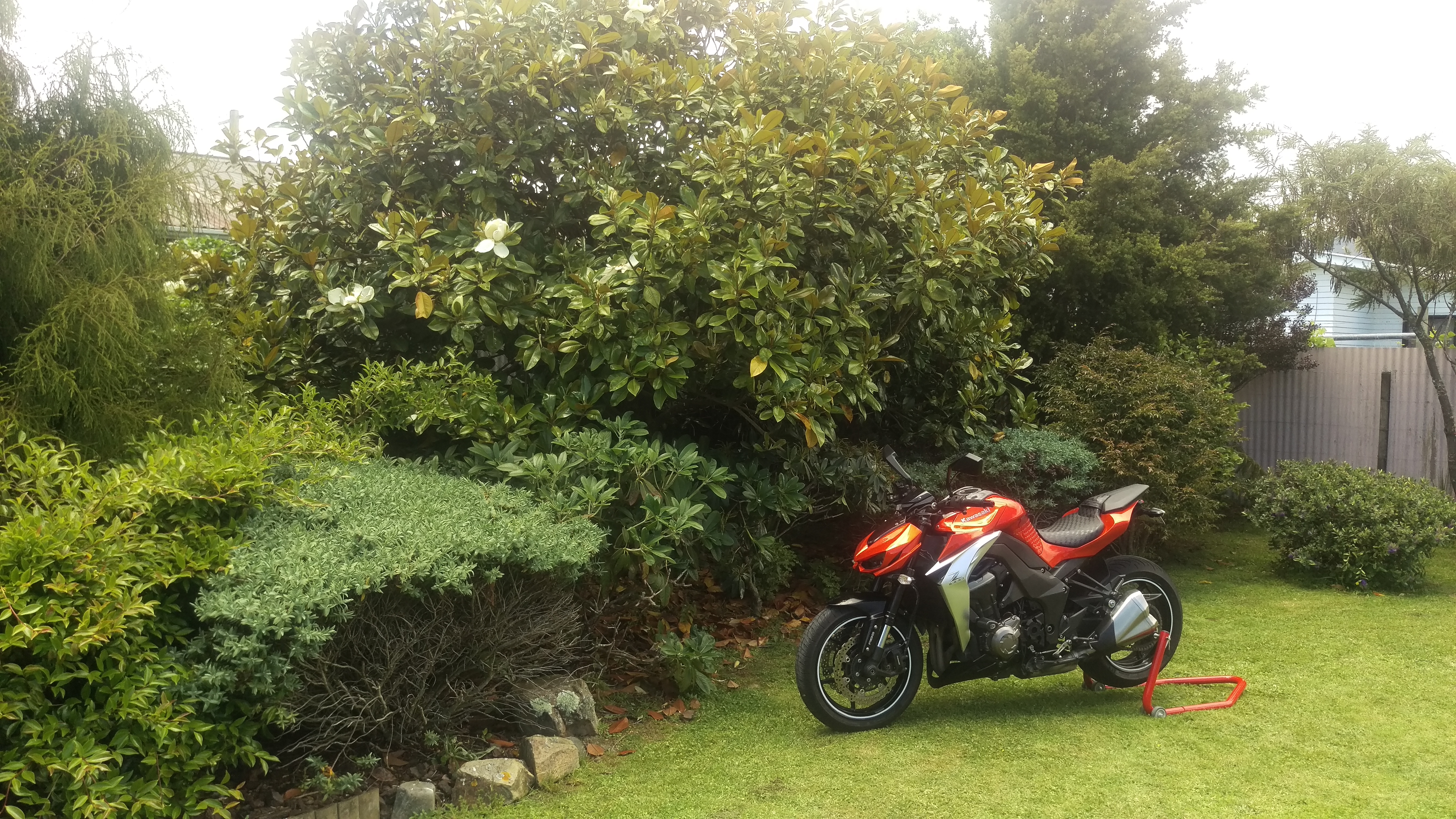 2014 KAWASAKI Z1000 | Picture 2768329 motorcycle photo