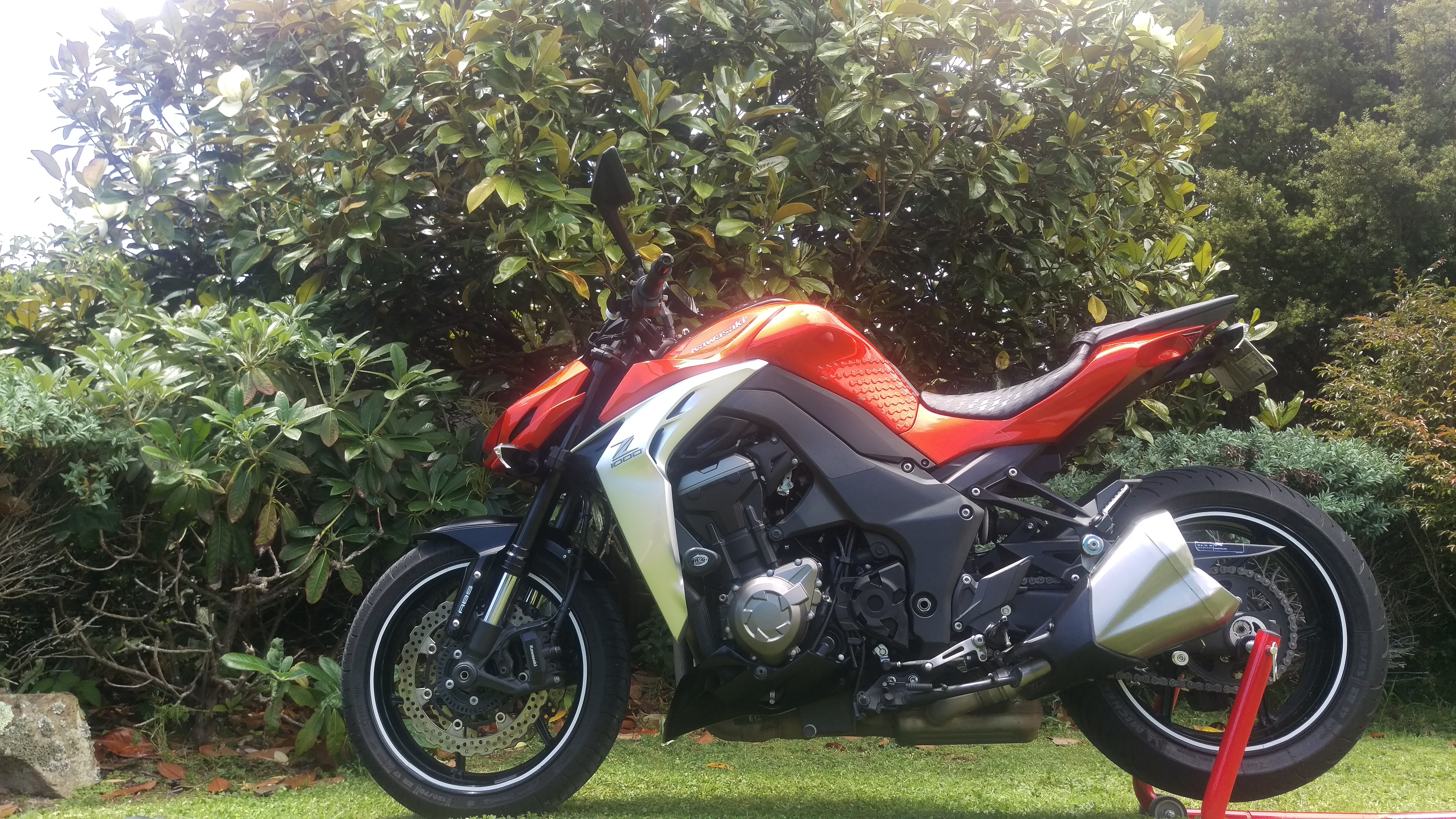 2014 KAWASAKI Z1000 | Picture 2768331 motorcycle photo
