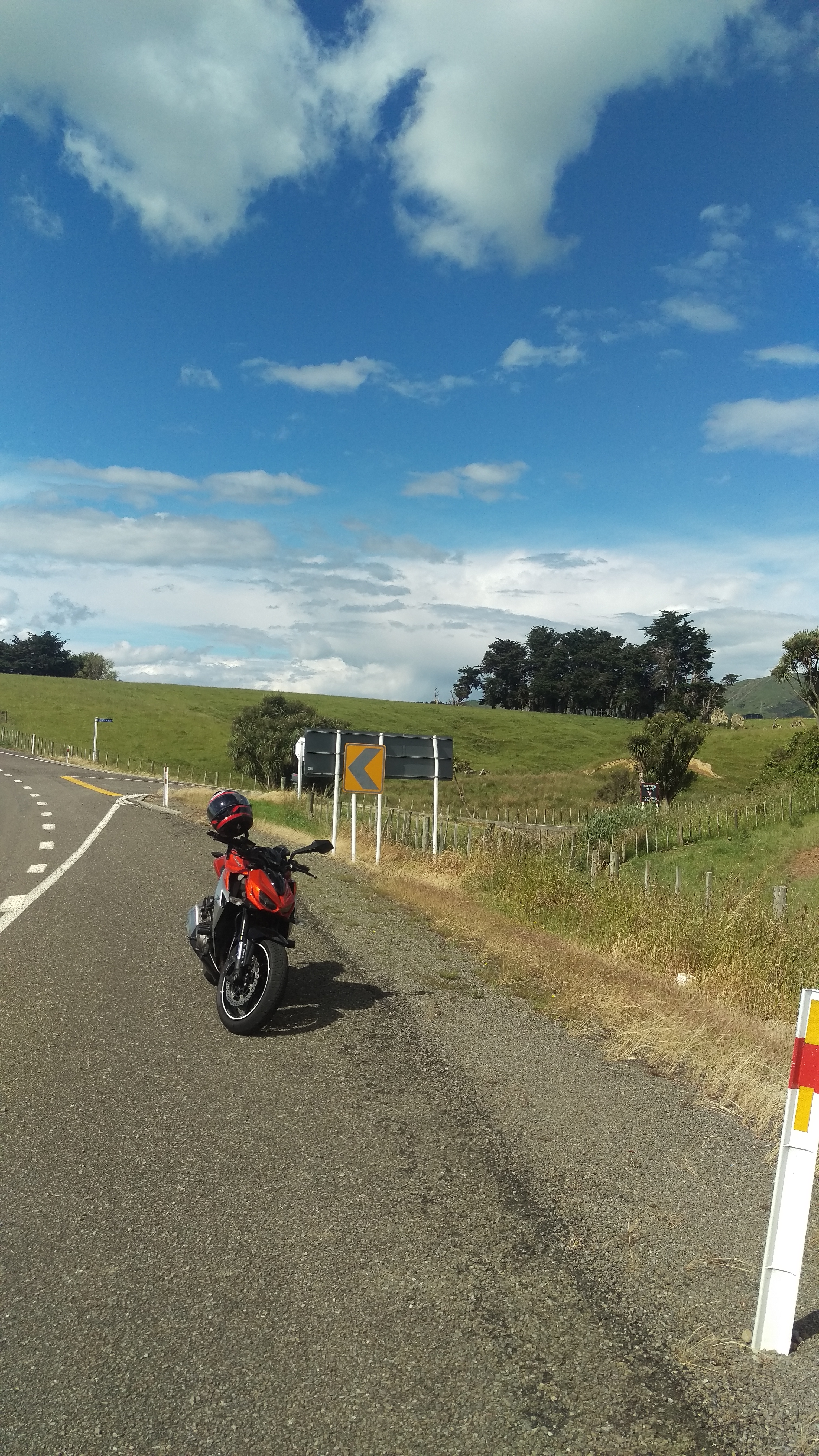 2014 KAWASAKI Z1000 | Picture 2768910 motorcycle photo