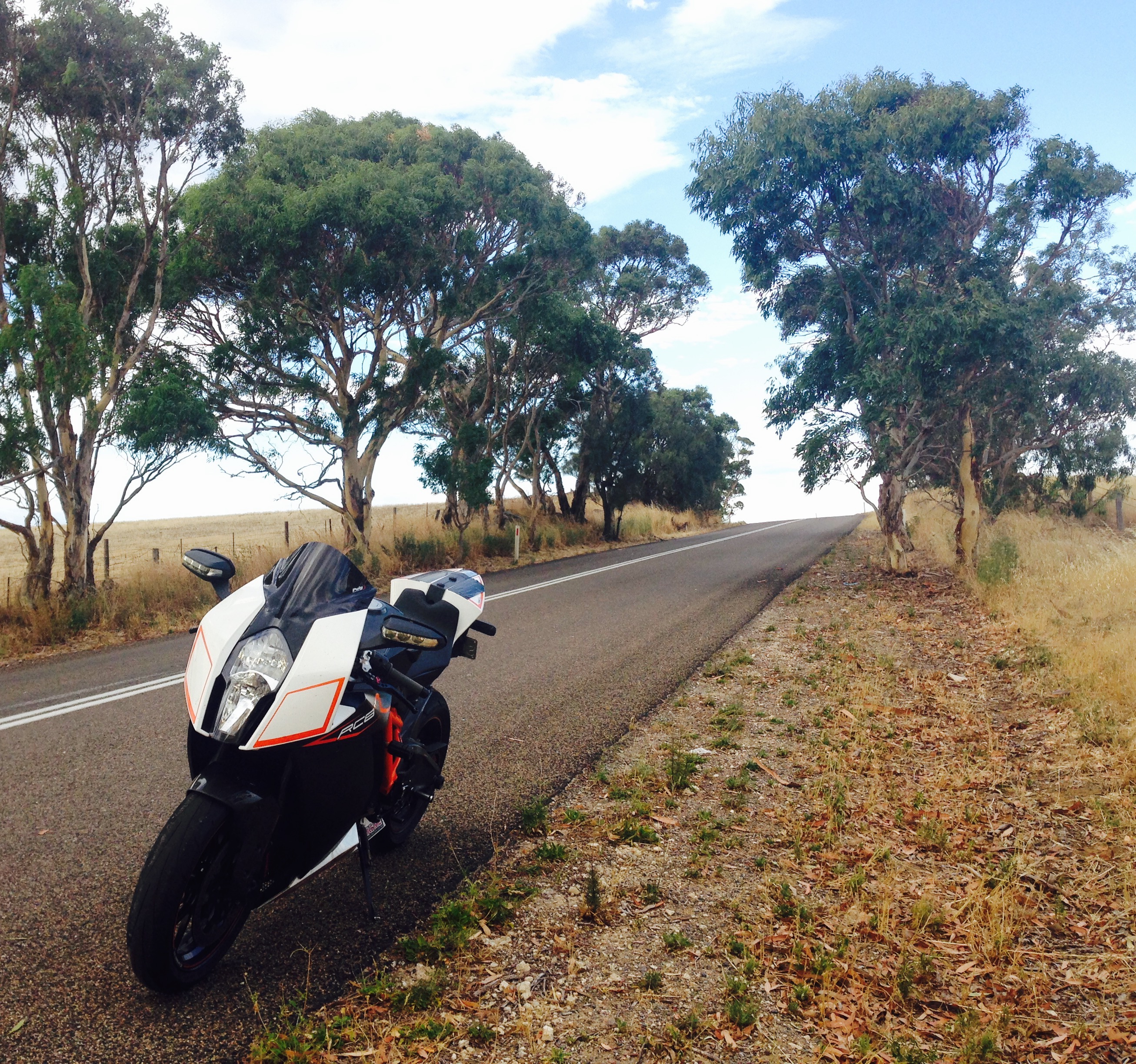 2009 KTM RC8 R | Picture 2769004 motorcycle photo