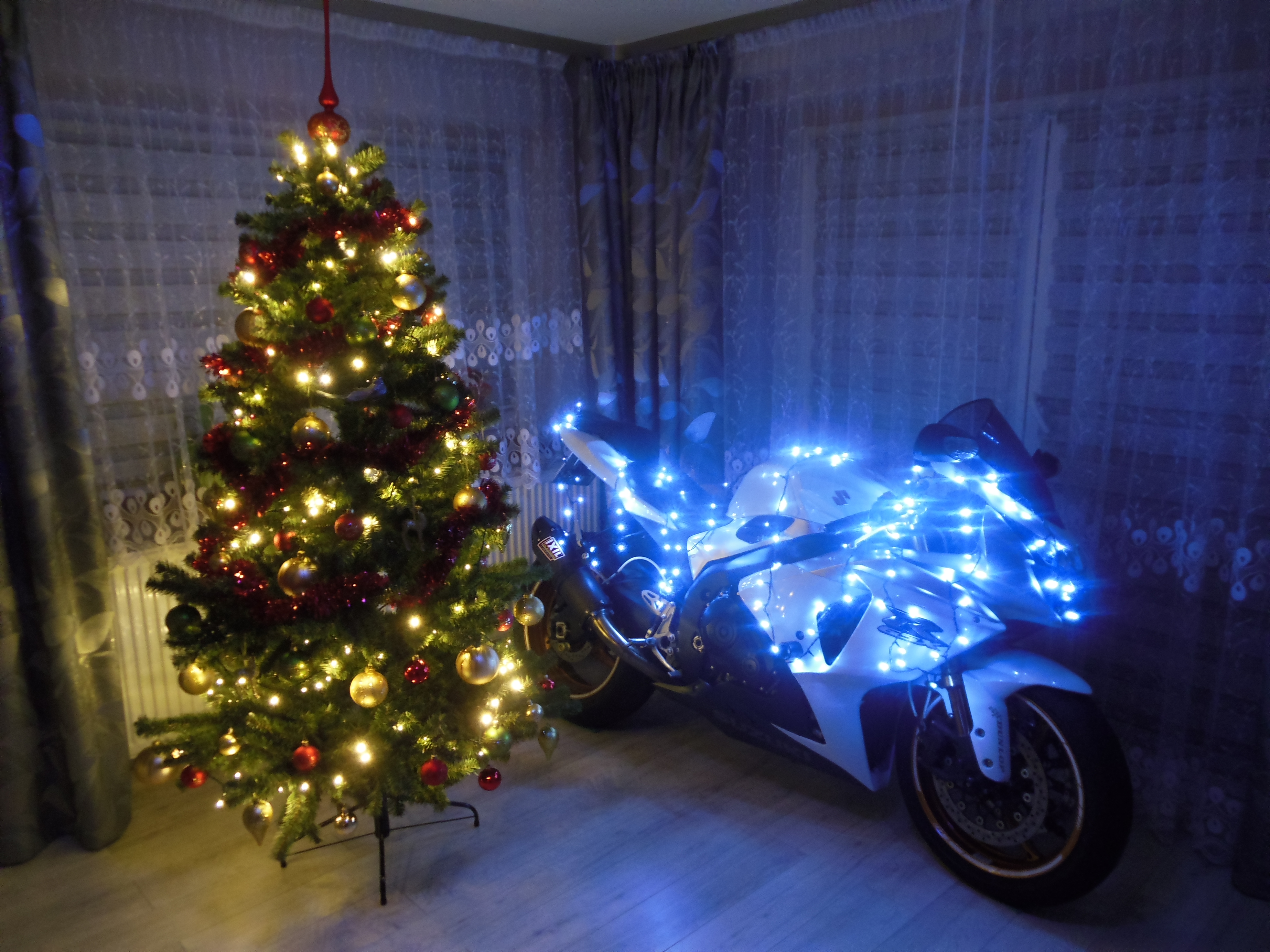 2009 SUZUKI GSX R 1000 | Picture 2769523 motorcycle photo