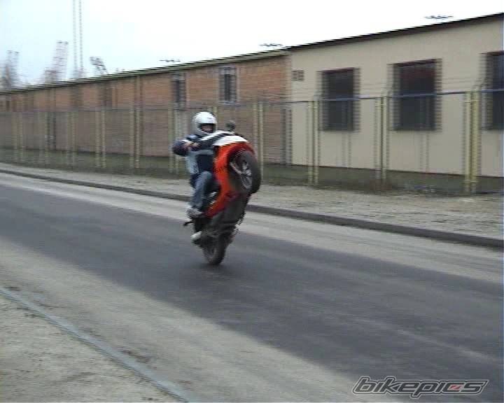 2003 DAELIM S FIVE 50 | Picture 276963 motorcycle photo