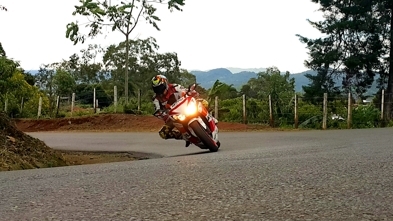 2008 HONDA CBR 1000  RR | Picture 2770381 motorcycle photo