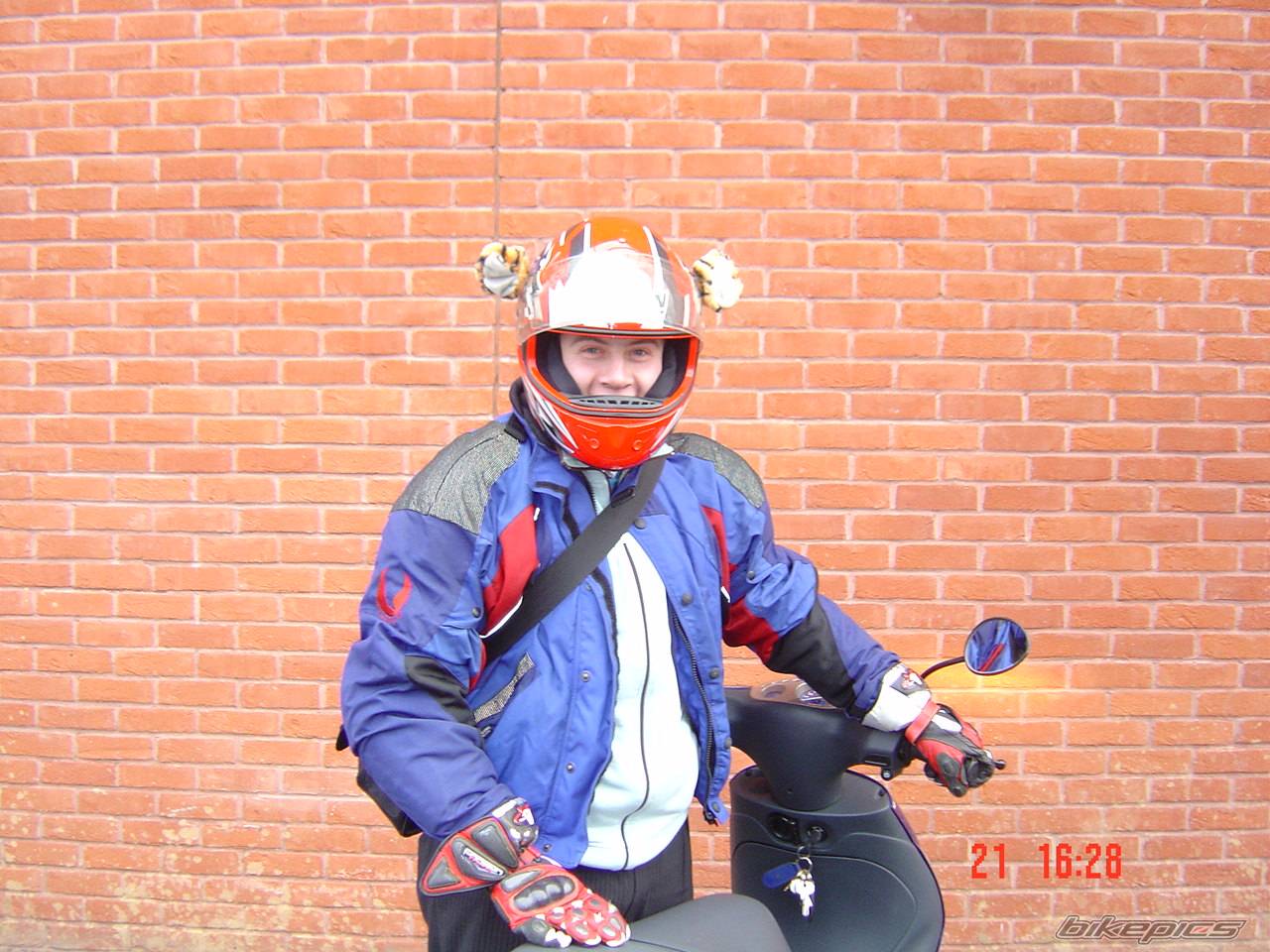 2005 APRILIA RS 50 | Picture 277116 motorcycle photo