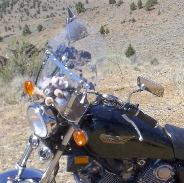 1990 YAMAHA VIRAGO XV750 | Picture 2771631 motorcycle photo