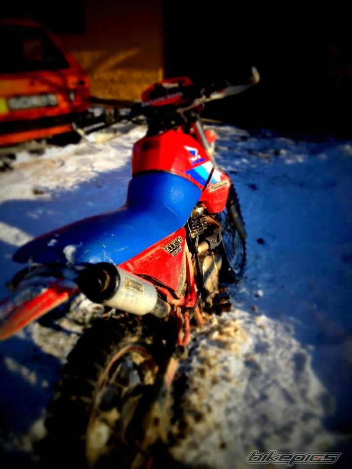 1986 HONDA XL 600 | Picture 2772407 motorcycle photo