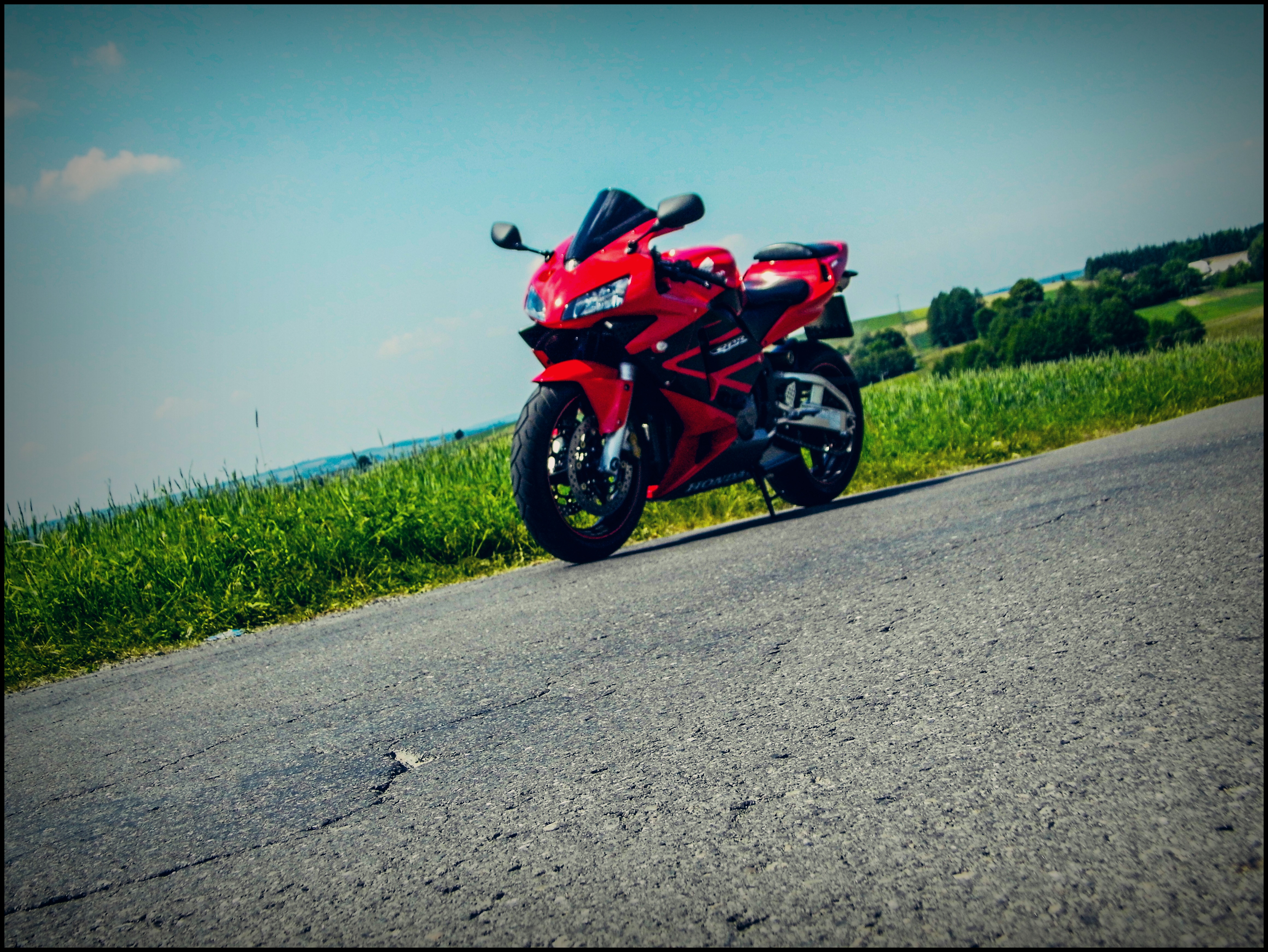 2003 HONDA CBR 600 RR | Picture 2773042 motorcycle photo