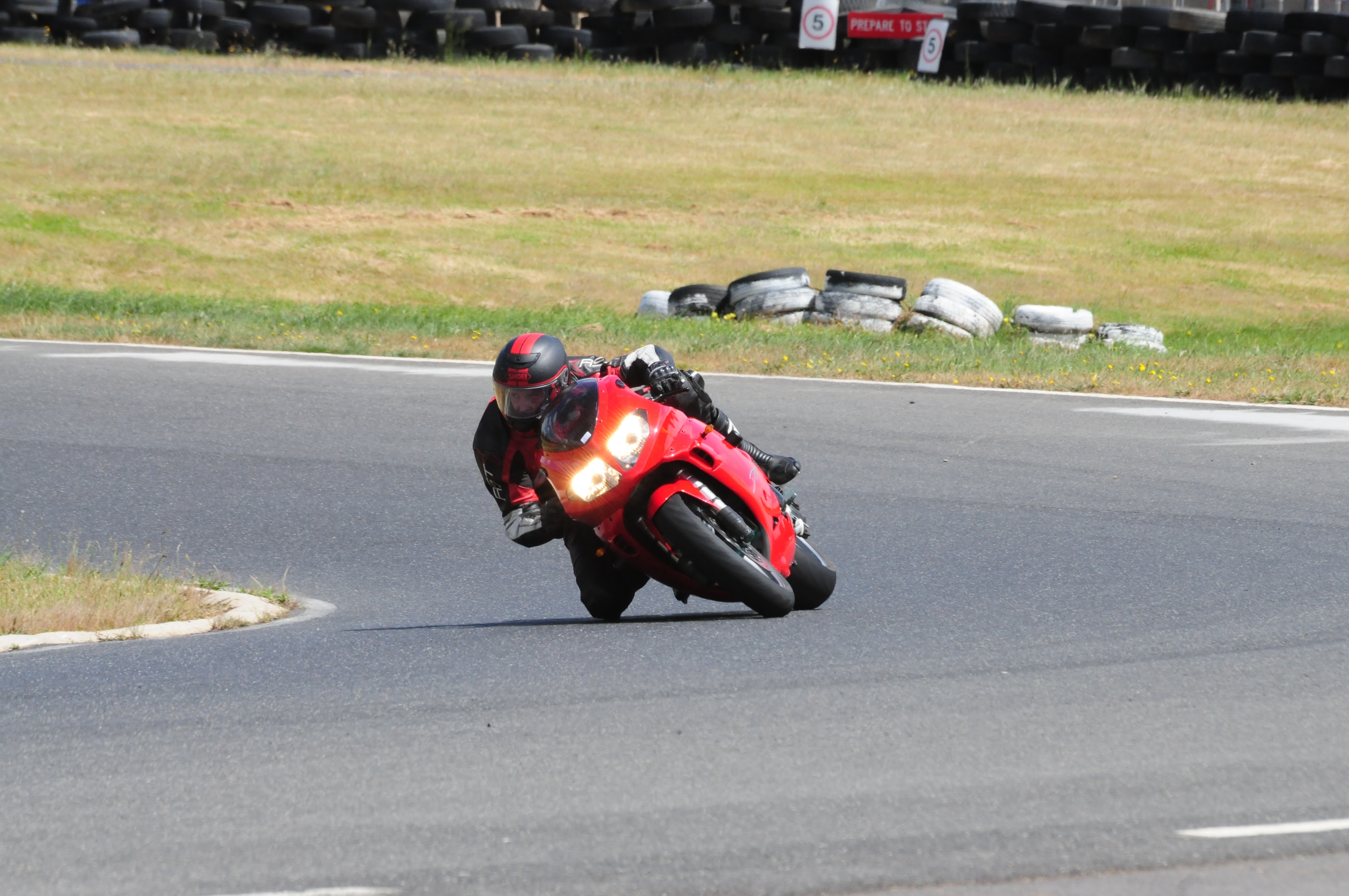 2004 TRIUMPH DAYTONA 955I | Picture 2774443 motorcycle photo