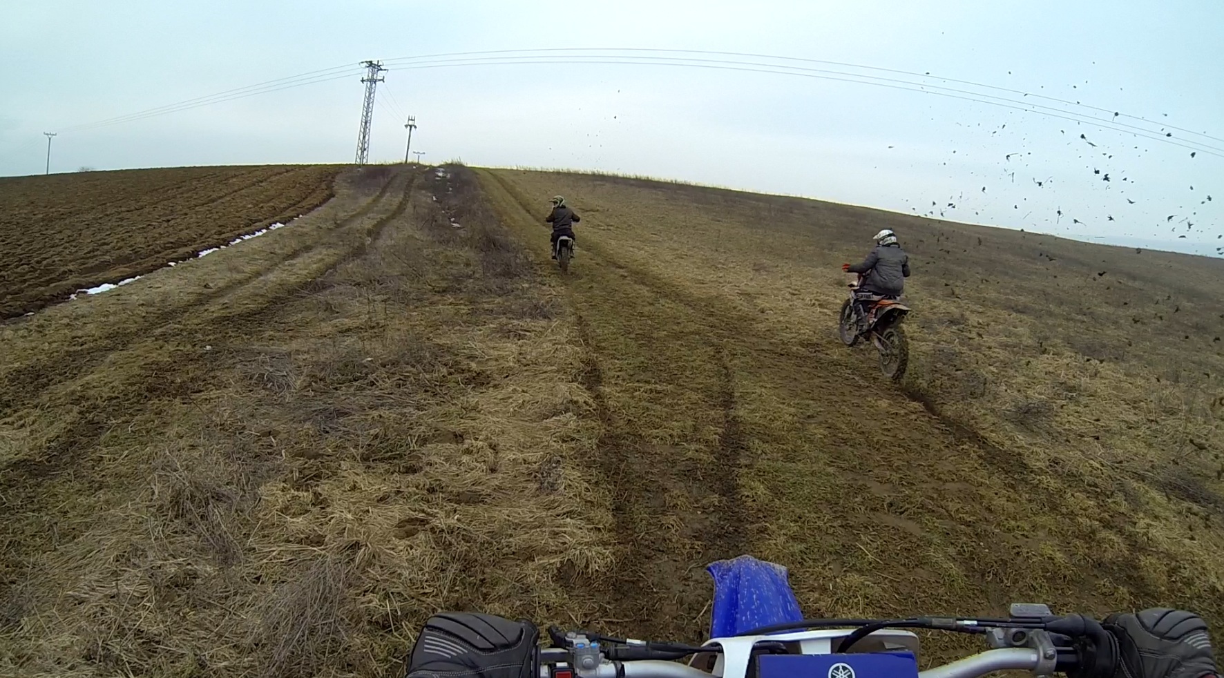 2009 YAMAHA YZ 450F | Picture 2774978 motorcycle photo