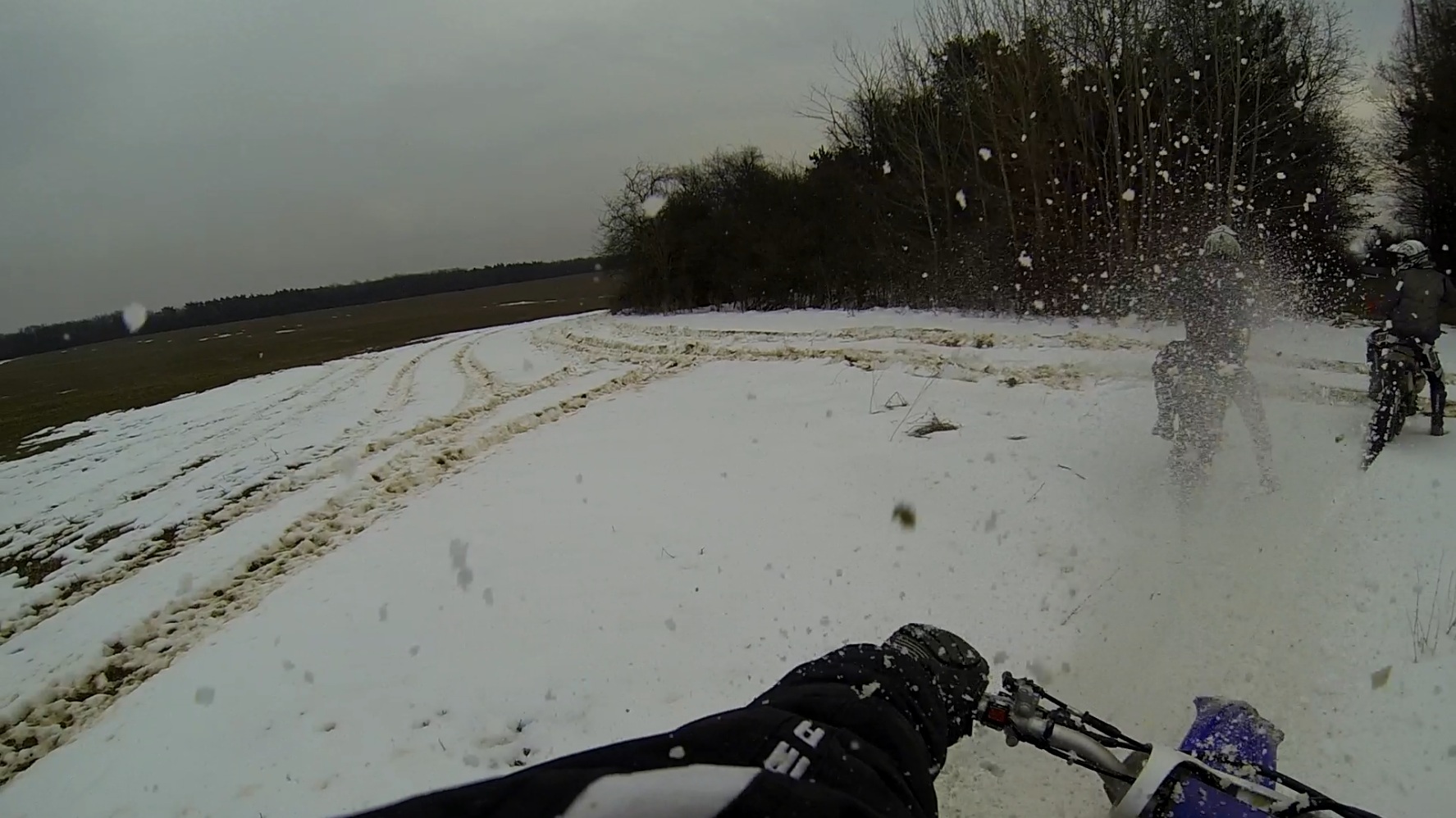 2009 YAMAHA YZ 450F | Picture 2774979 motorcycle photo