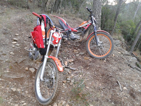2003 BETA REV3 250 | Picture 2776471 motorcycle photo