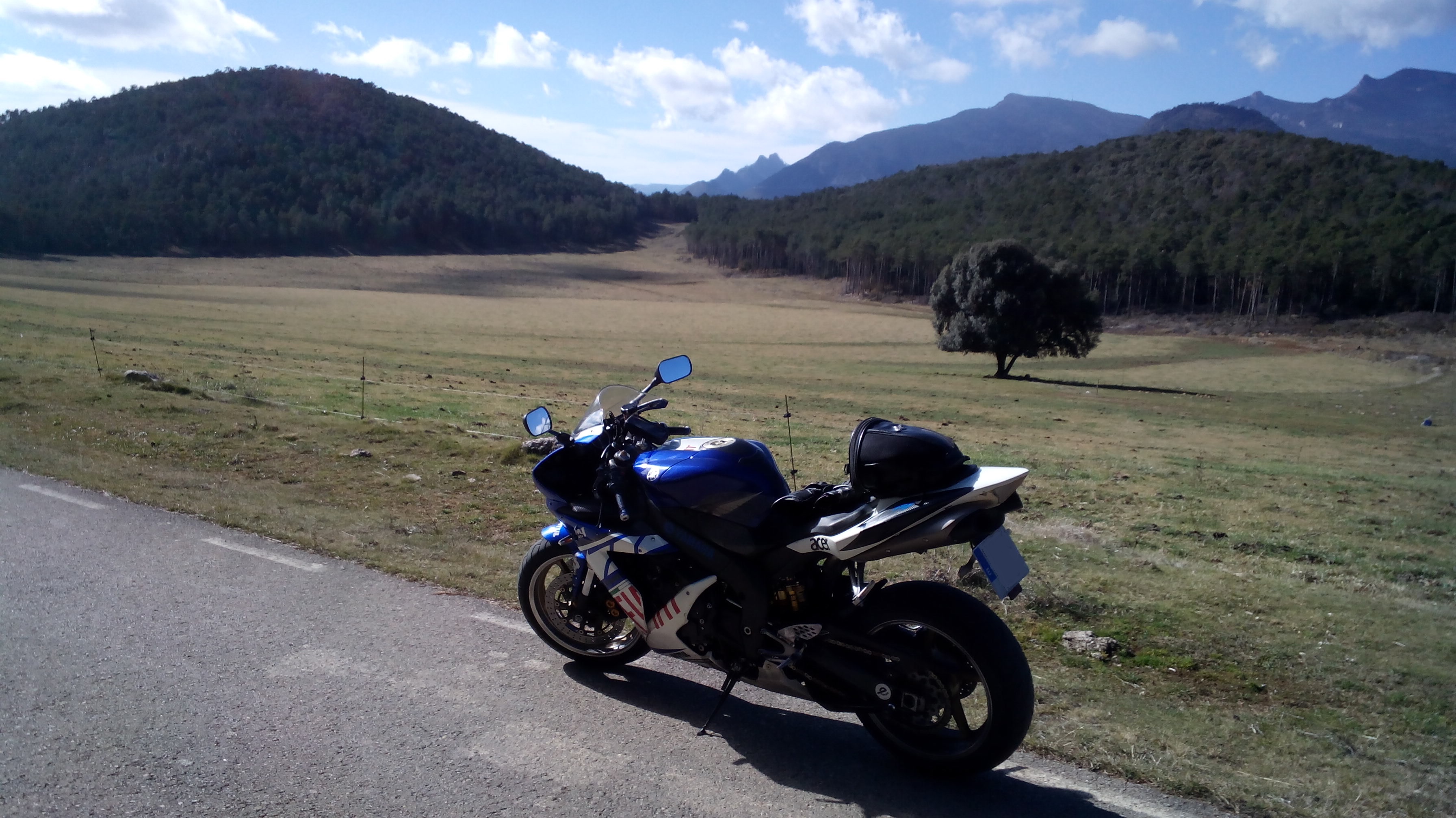 2004 YAMAHA YZF R1 | Picture 2776853 motorcycle photo