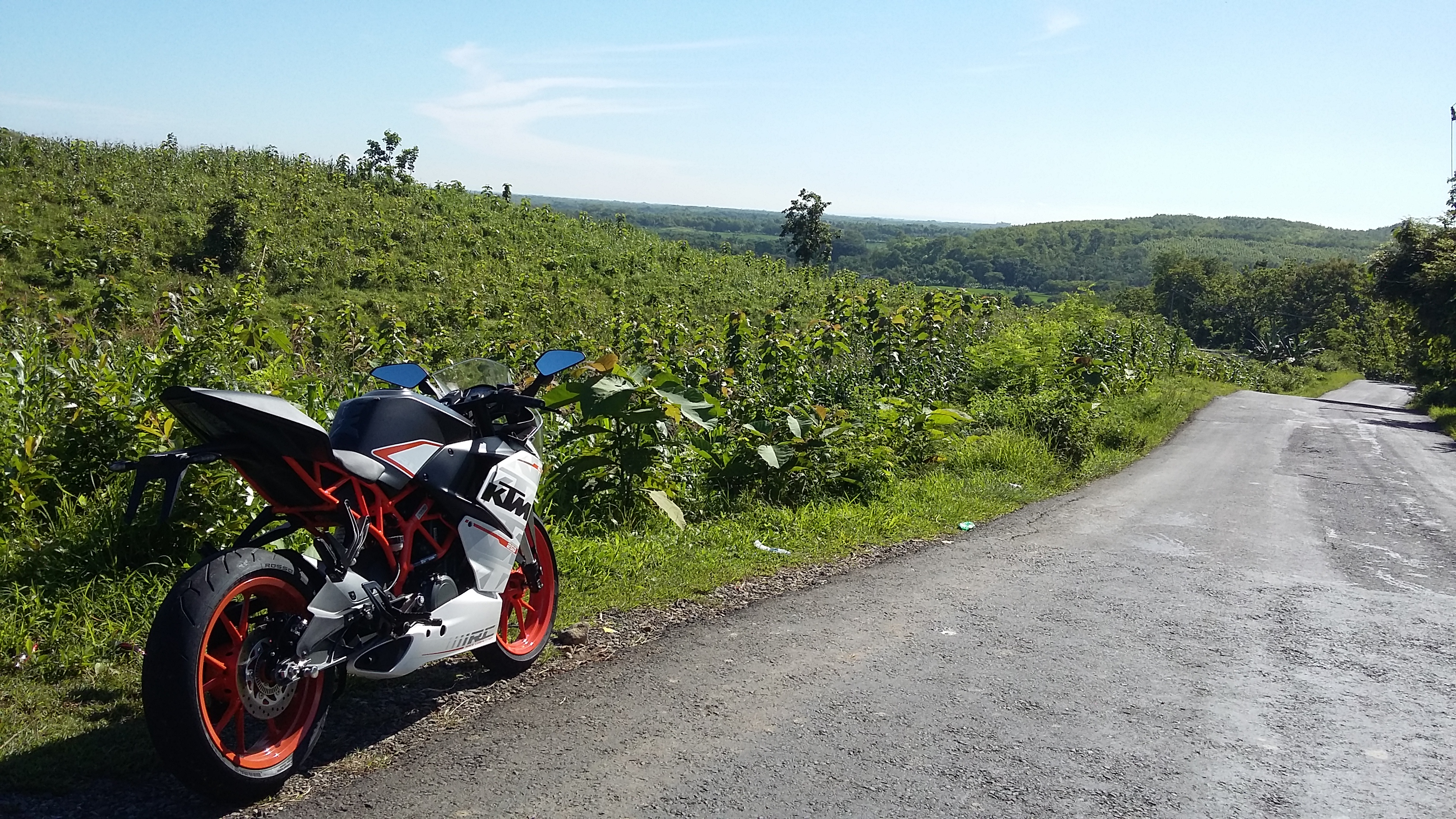 2015 KTM RC250 | Picture 2776889 motorcycle photo