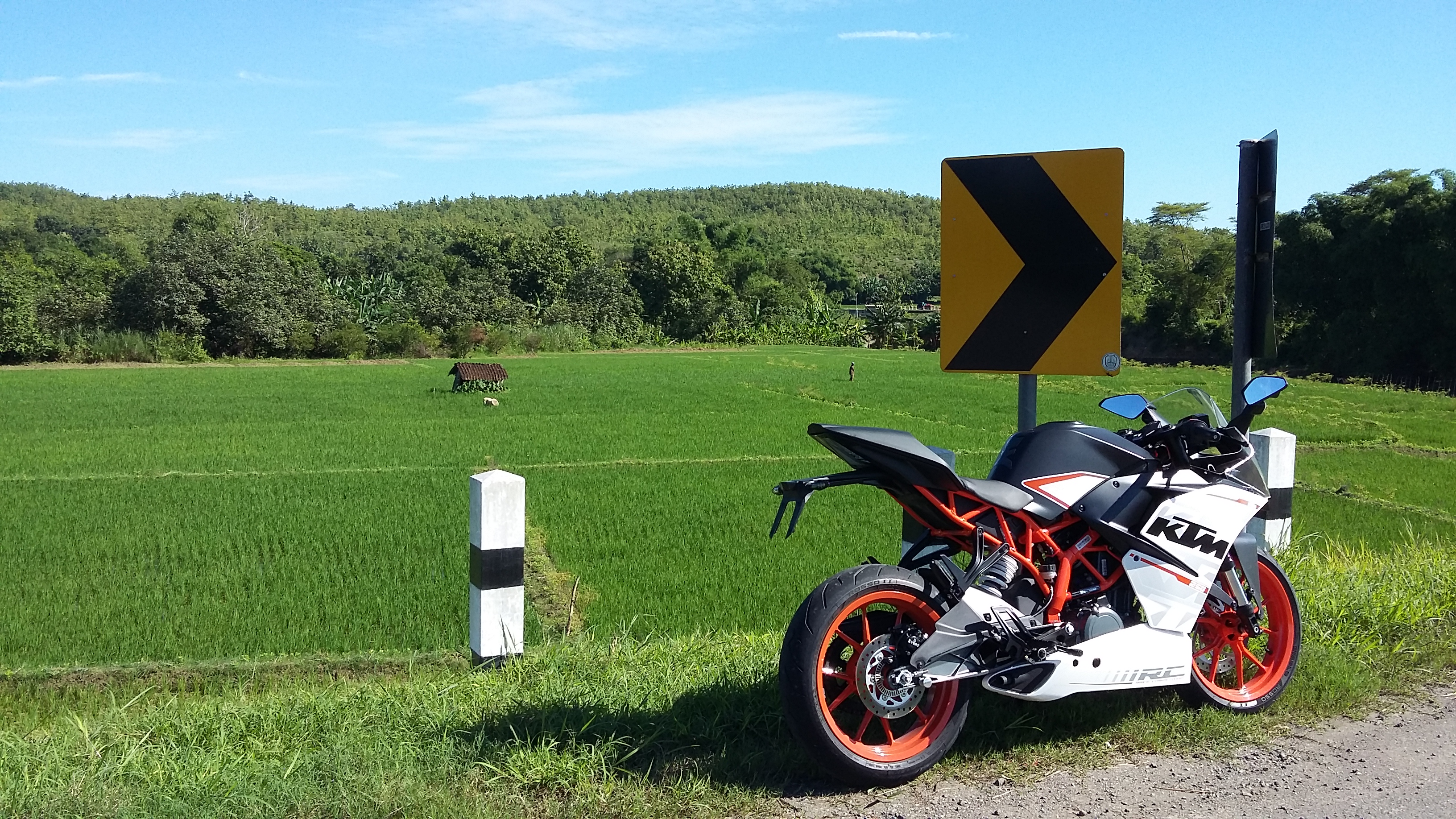 2015 KTM RC250 | Picture 2776890 motorcycle photo