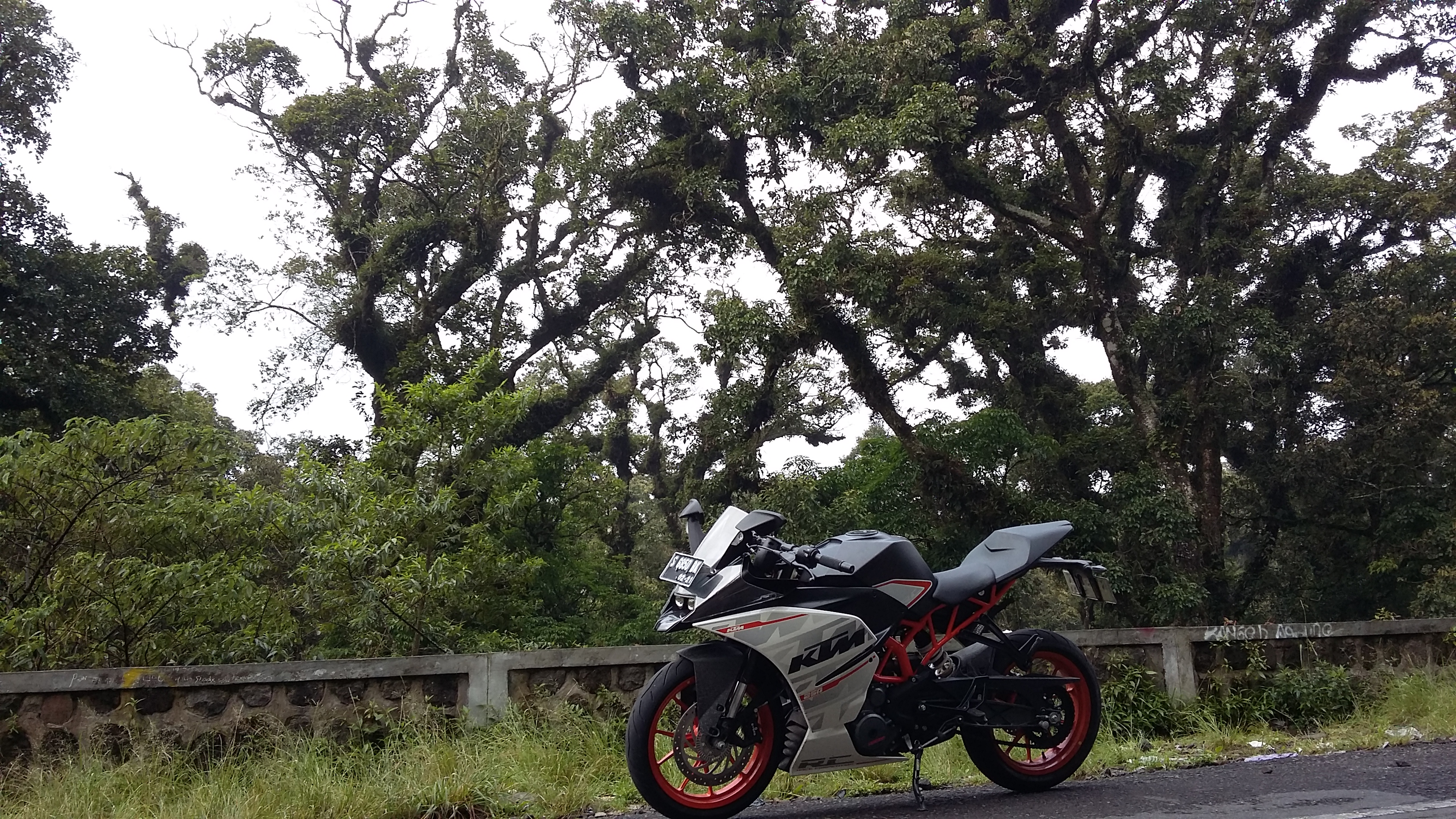 2015 KTM RC250 | Picture 2776900 motorcycle photo