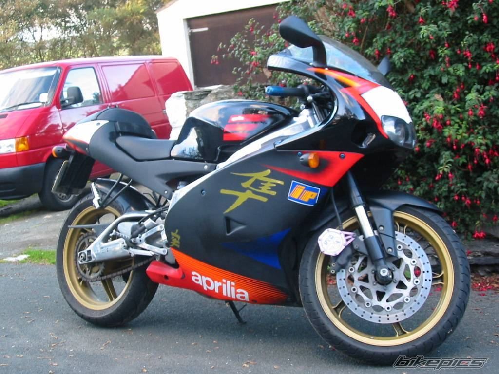2003 APRILIA RS 125 | Picture 277780 motorcycle photo