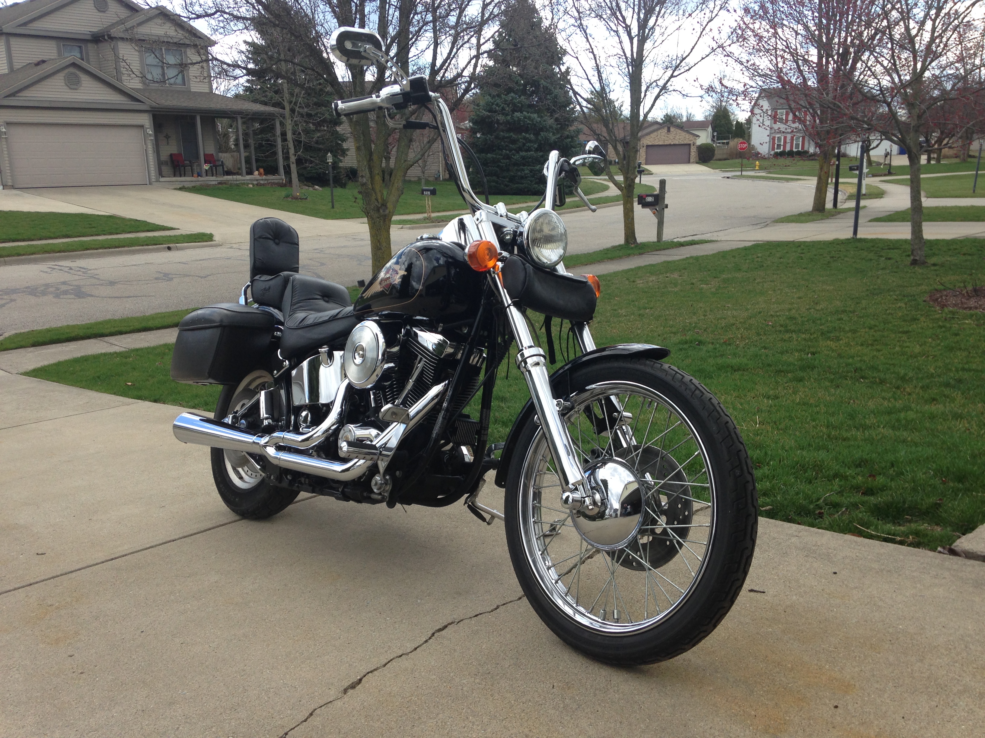 1998 HARLEY DAVIDSON FXSTC | Picture 2778079 motorcycle photo