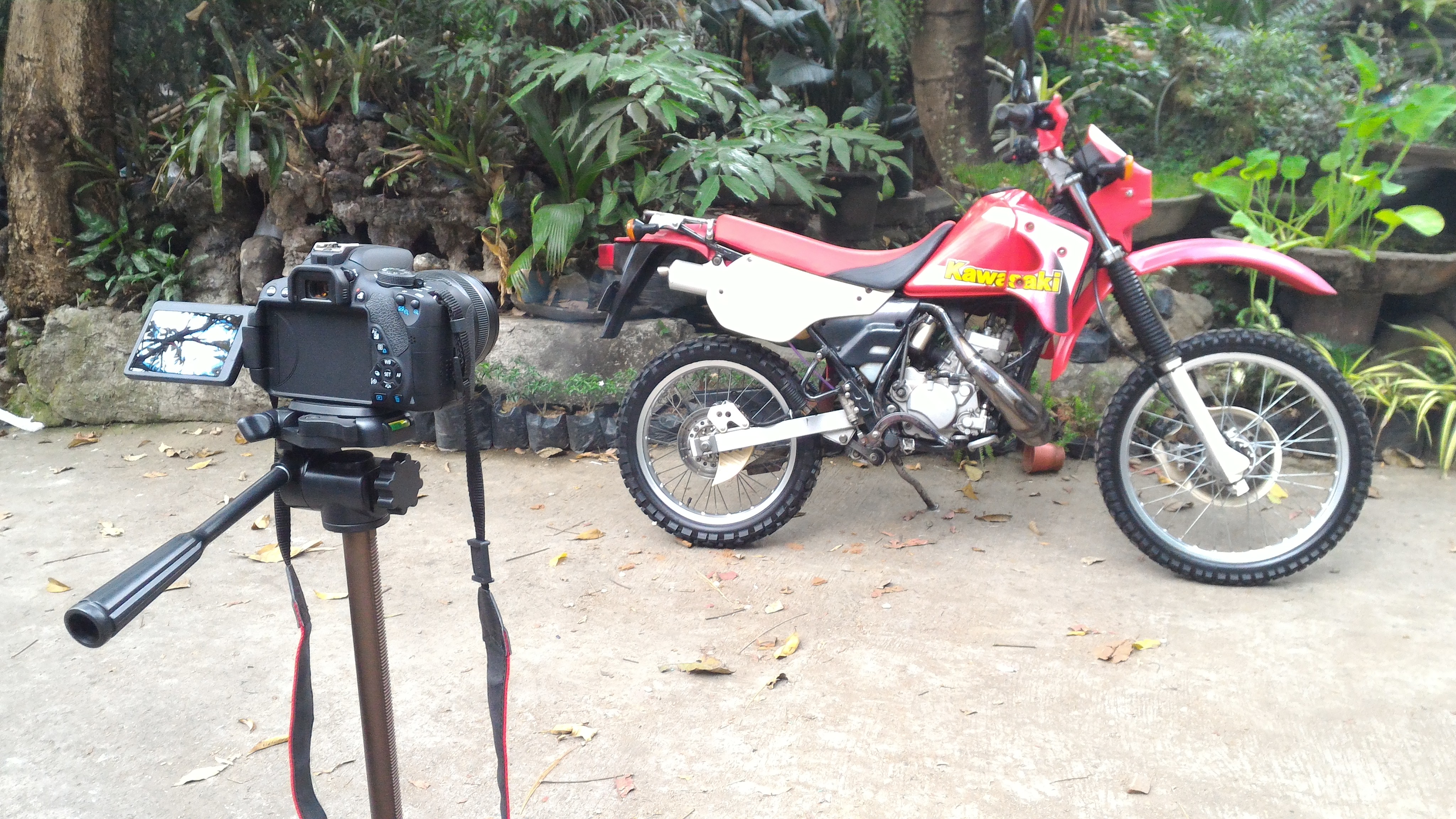 2015 KAWASAKI KMX 125 | Picture 2778255 motorcycle photo