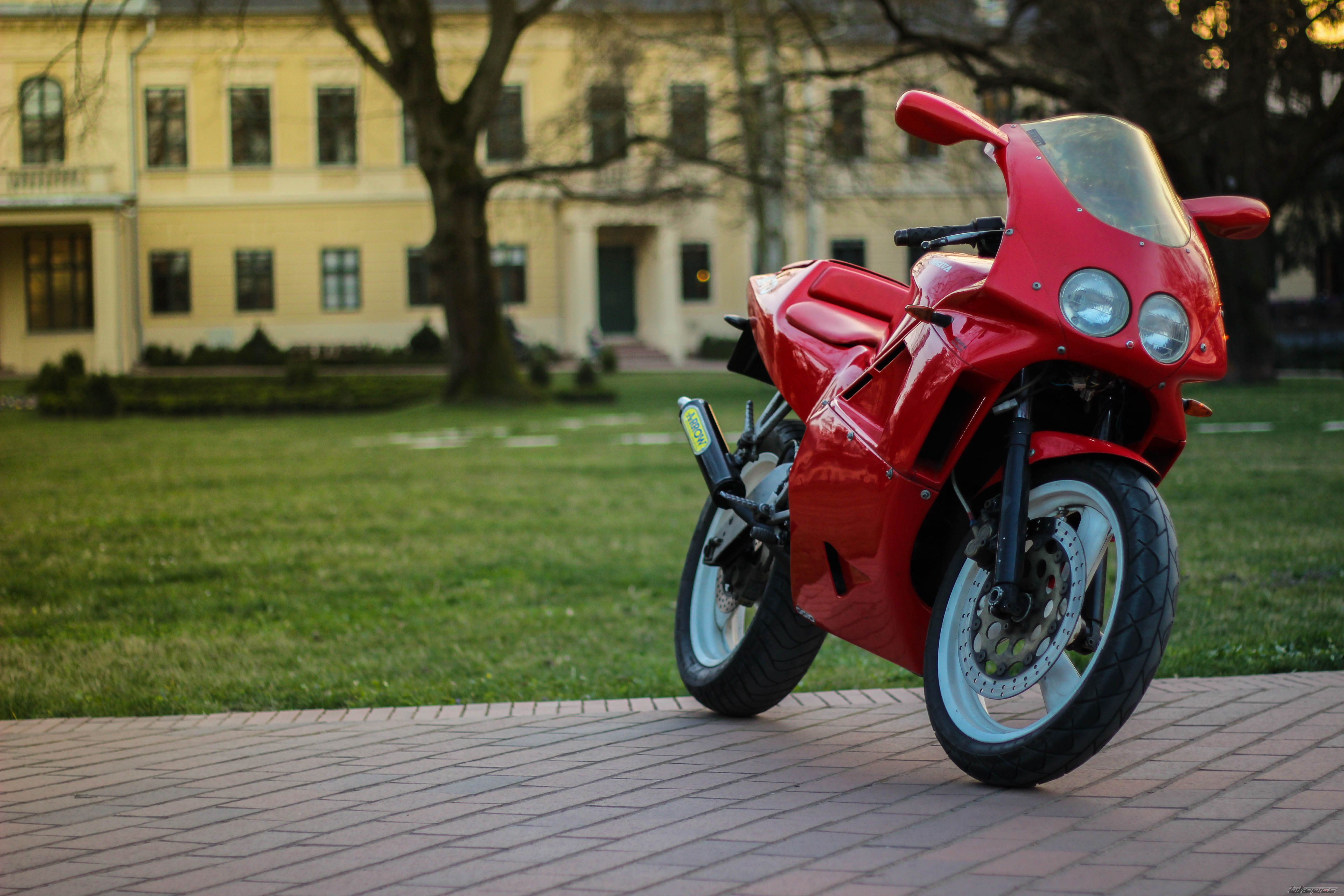 1990 CAGIVA MITO 125 | Picture 2778462 motorcycle photo