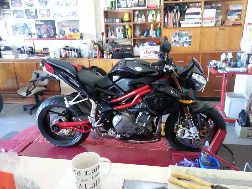 2008 BENELLI TNT SPORT EVO | Picture 2778522 motorcycle photo
