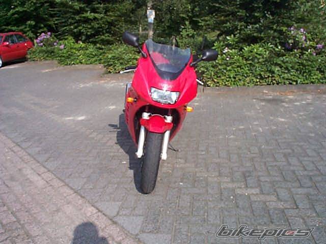 1993 SUZUKI RF 600 | Picture 27787 motorcycle photo