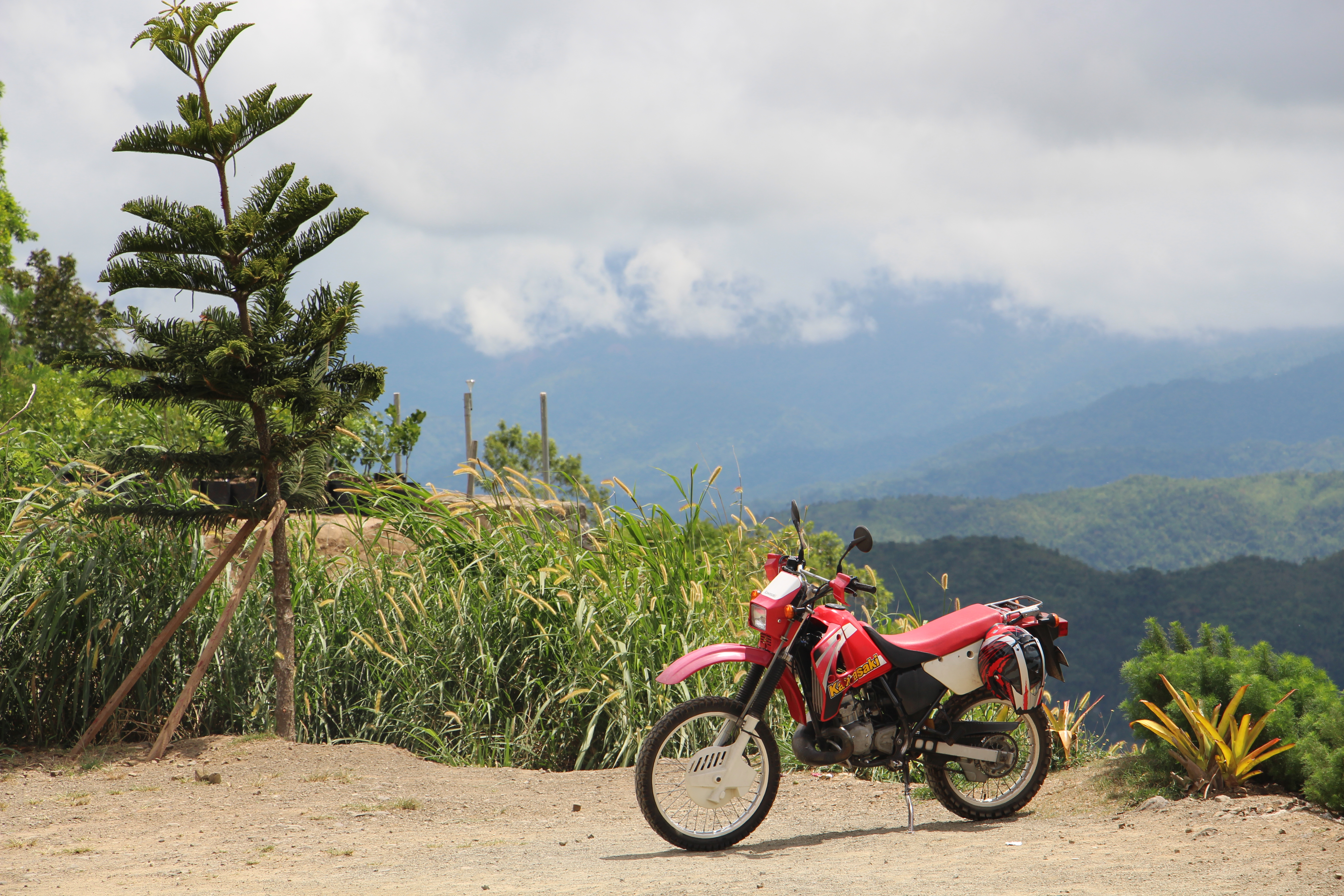 2015 KAWASAKI KMX 125 | Picture 2778776 motorcycle photo