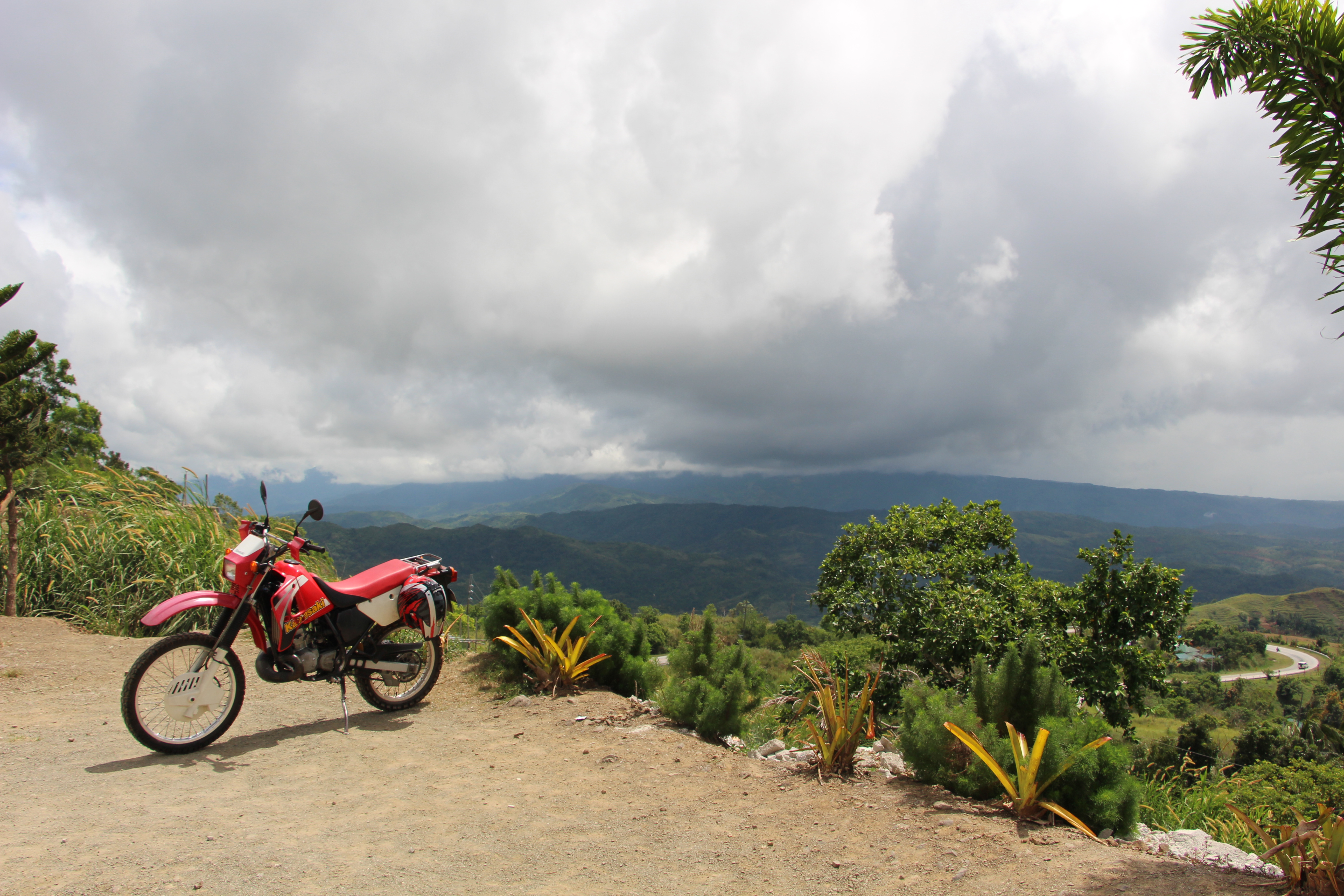 2015 KAWASAKI KMX 125 | Picture 2778778 motorcycle photo