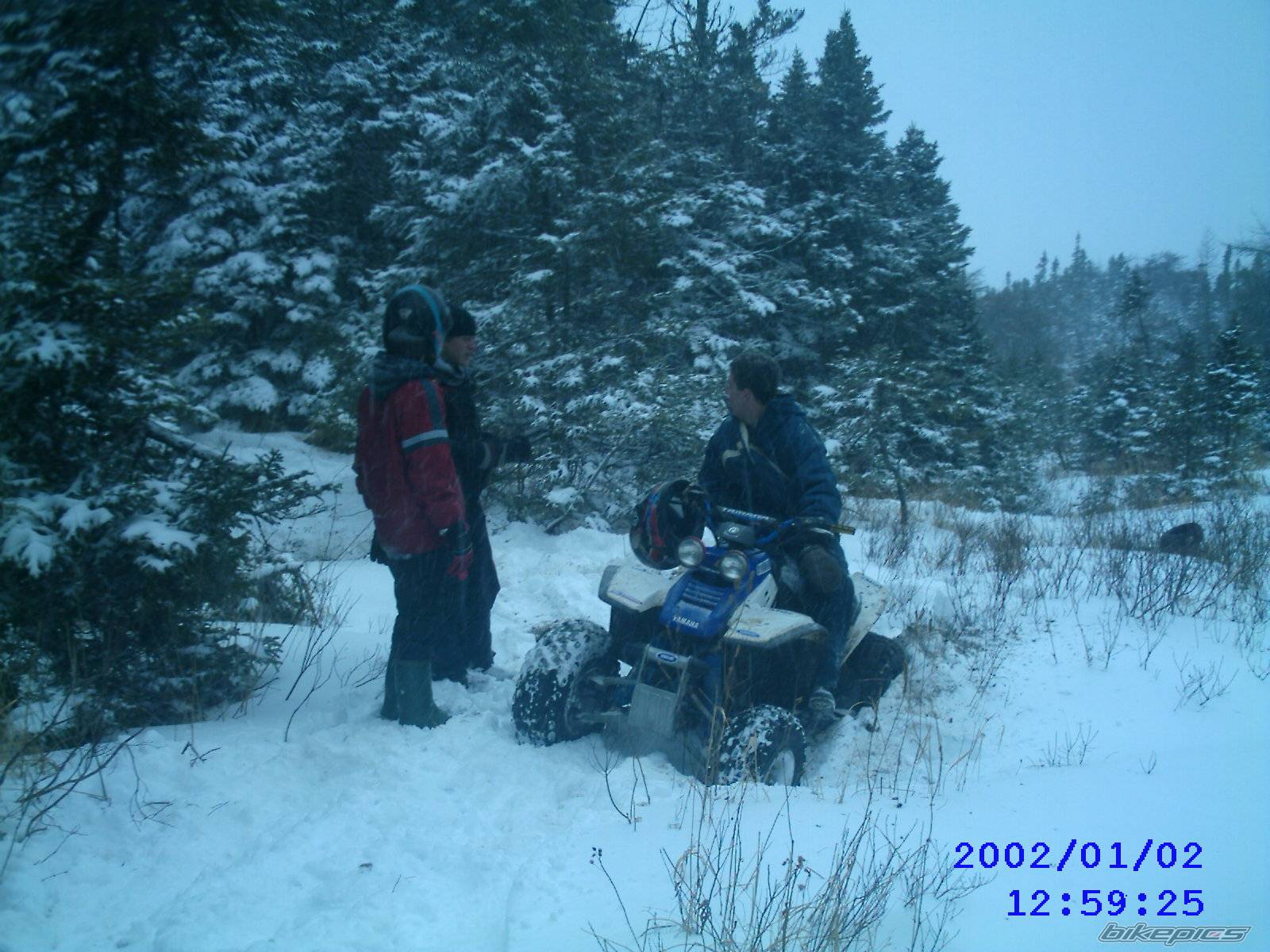 1999 YAMAHA WARRIOR | Picture 277980 motorcycle photo
