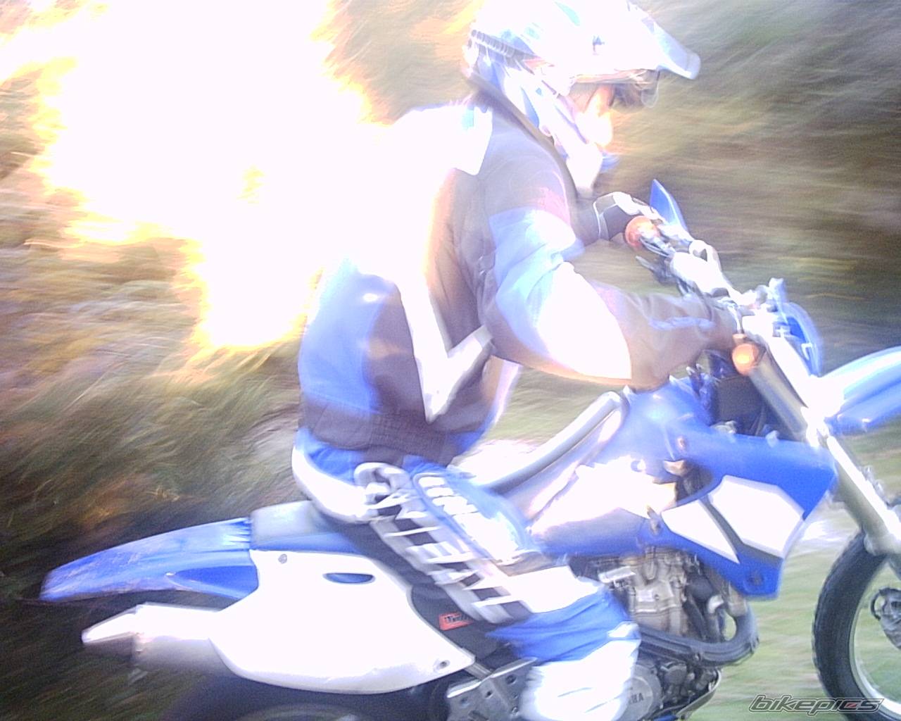 2004 YAMAHA YZ 426F | Picture 278147 motorcycle photo
