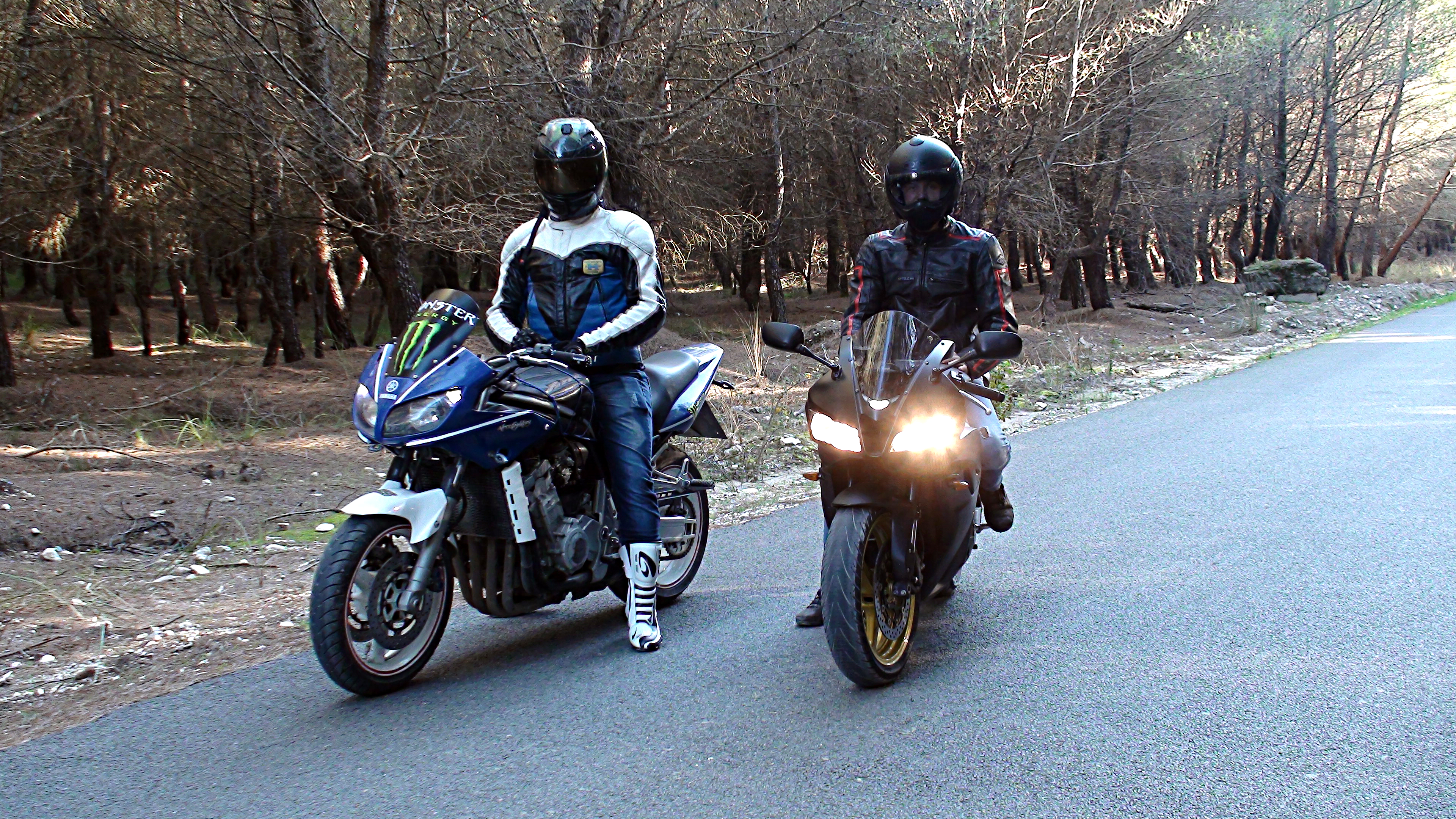2004 YAMAHA FZ 1 | Picture 2782192 motorcycle photo