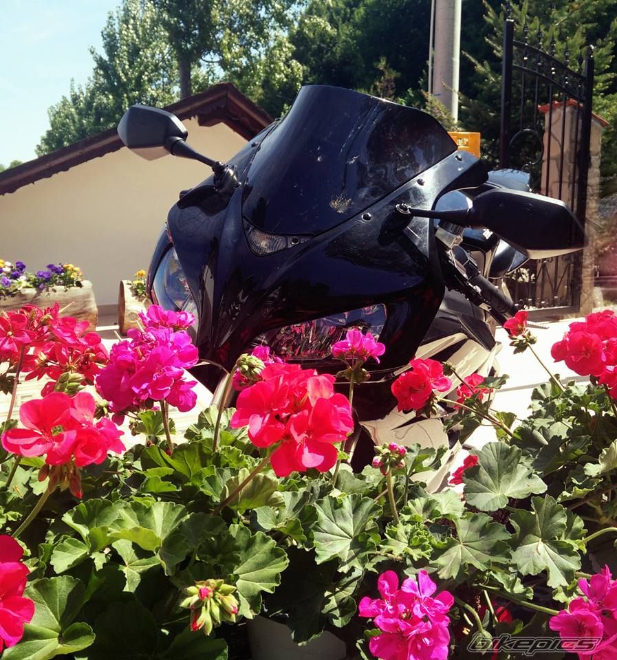 2006 HONDA CBR1000 | Picture 2782267 motorcycle photo