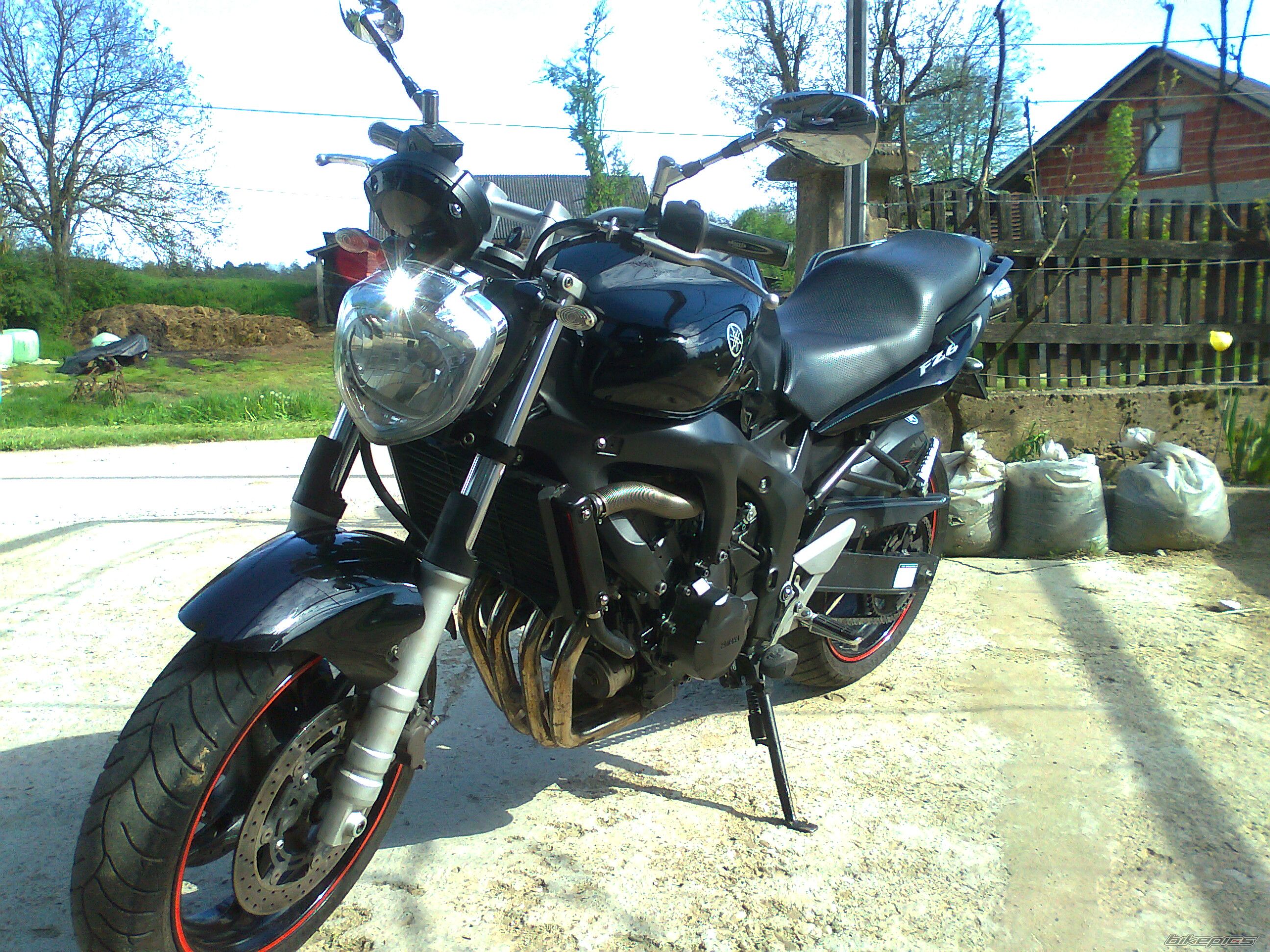 2006 YAMAHA FZ6 N | Picture 2783269 motorcycle photo
