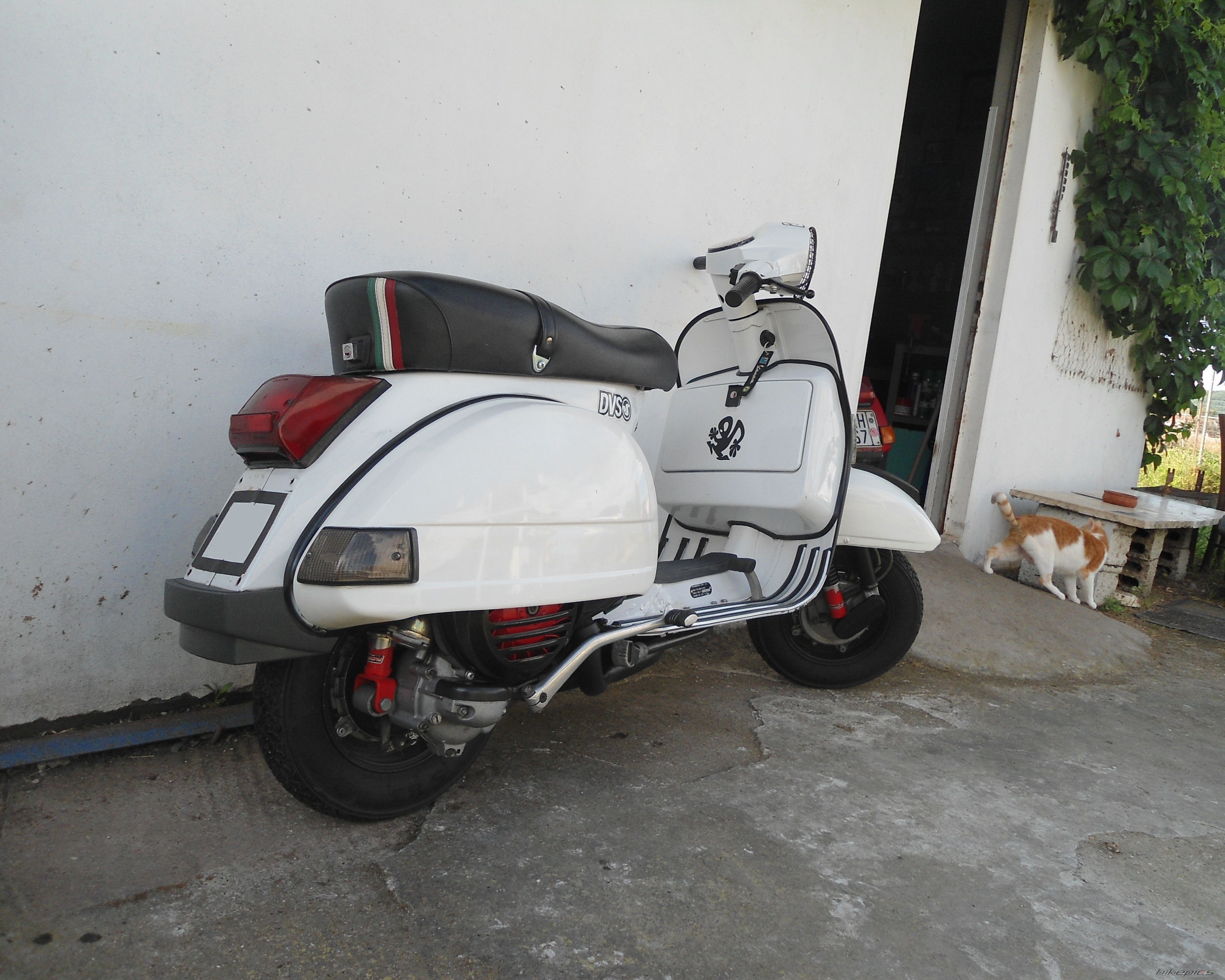 1990 PIAGGIO PX200 | Picture 2783367 motorcycle photo