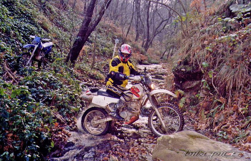 1995 HONDA XR 250 | Picture 278421 motorcycle photo